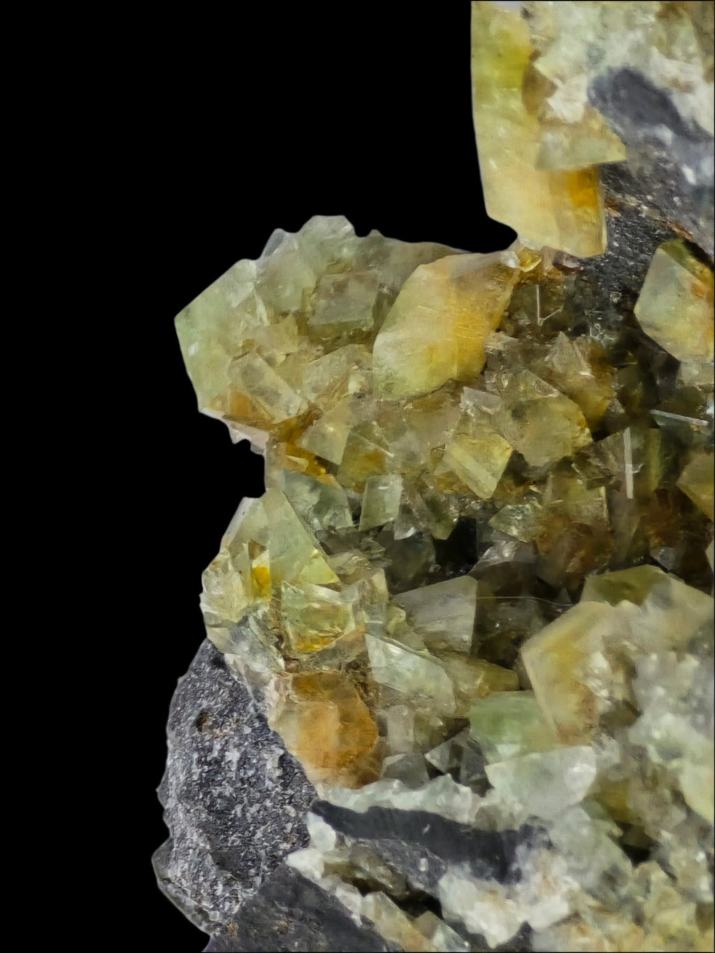 AUGELITE small cabinet