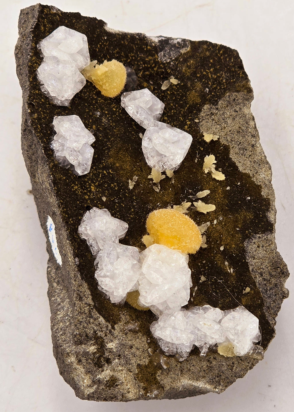 CHABAZITE with CALCITE (plus a green, so far unidentified, mineral (needles) (small cabinet)
