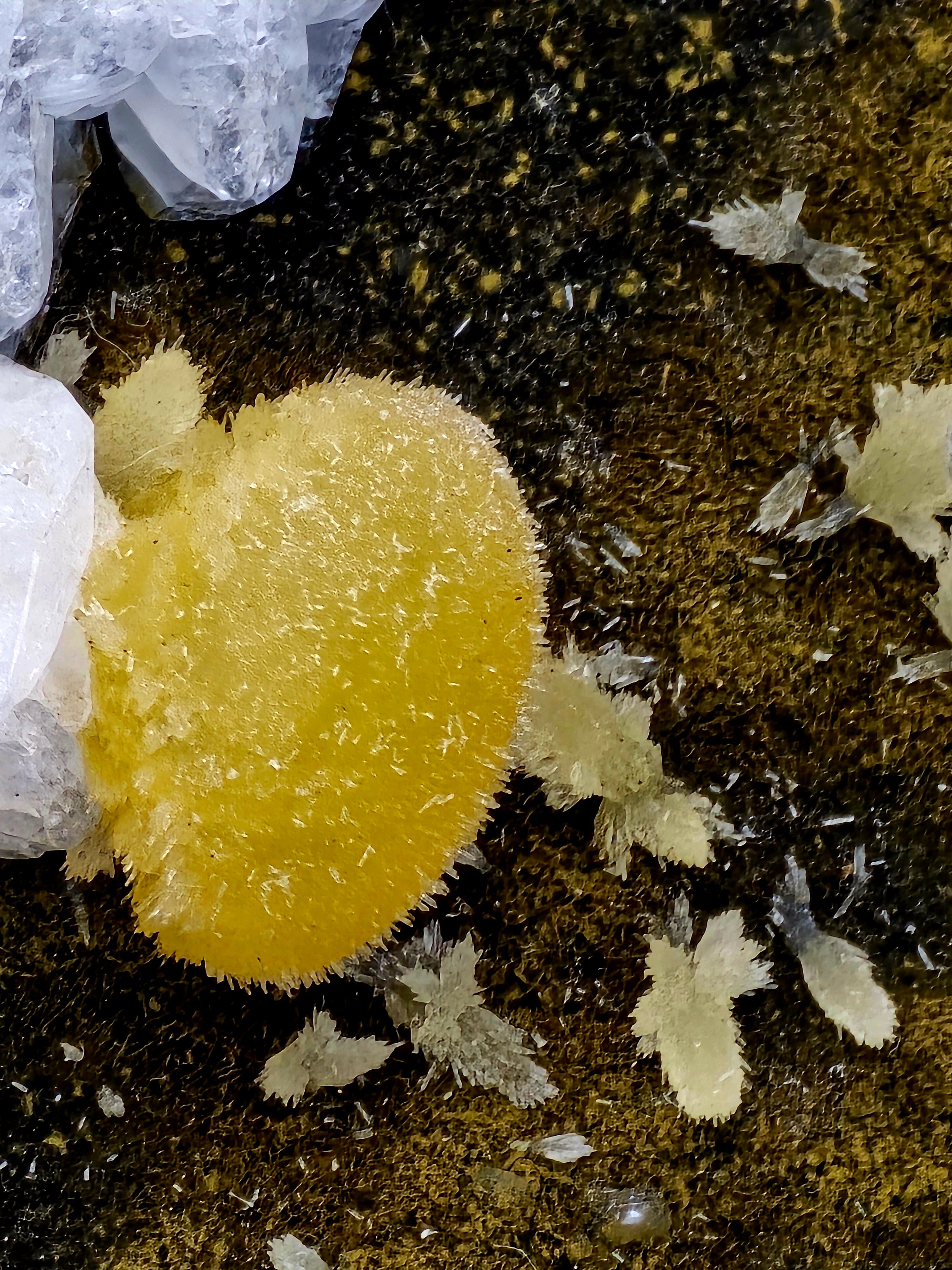 CHABAZITE with CALCITE (plus a green, so far unidentified, mineral (needles) (small cabinet)