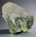 TOURMALINE sur QUARTZ, district de Paprak Kamdesh, province de Nuristan, Afghanistan (miniature)