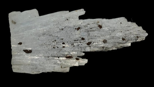 Tremolite with Magnetite inclusions, white fibrous mineral specimen on black background