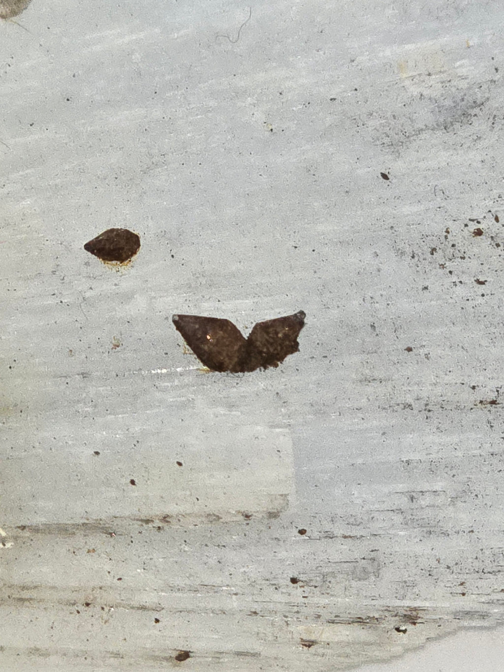 ANHYDRITE with undeterminated sulfide (?)