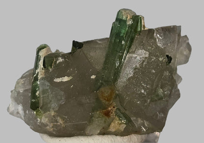 TOURMALINE on QUARTZ