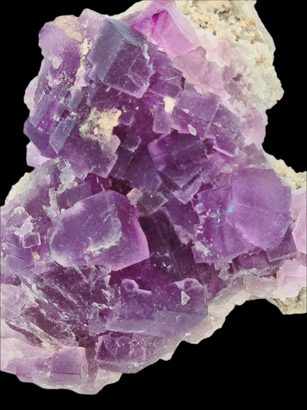 FLUORITE (DEEP PURPLE) on CALCITE (small cabinet)