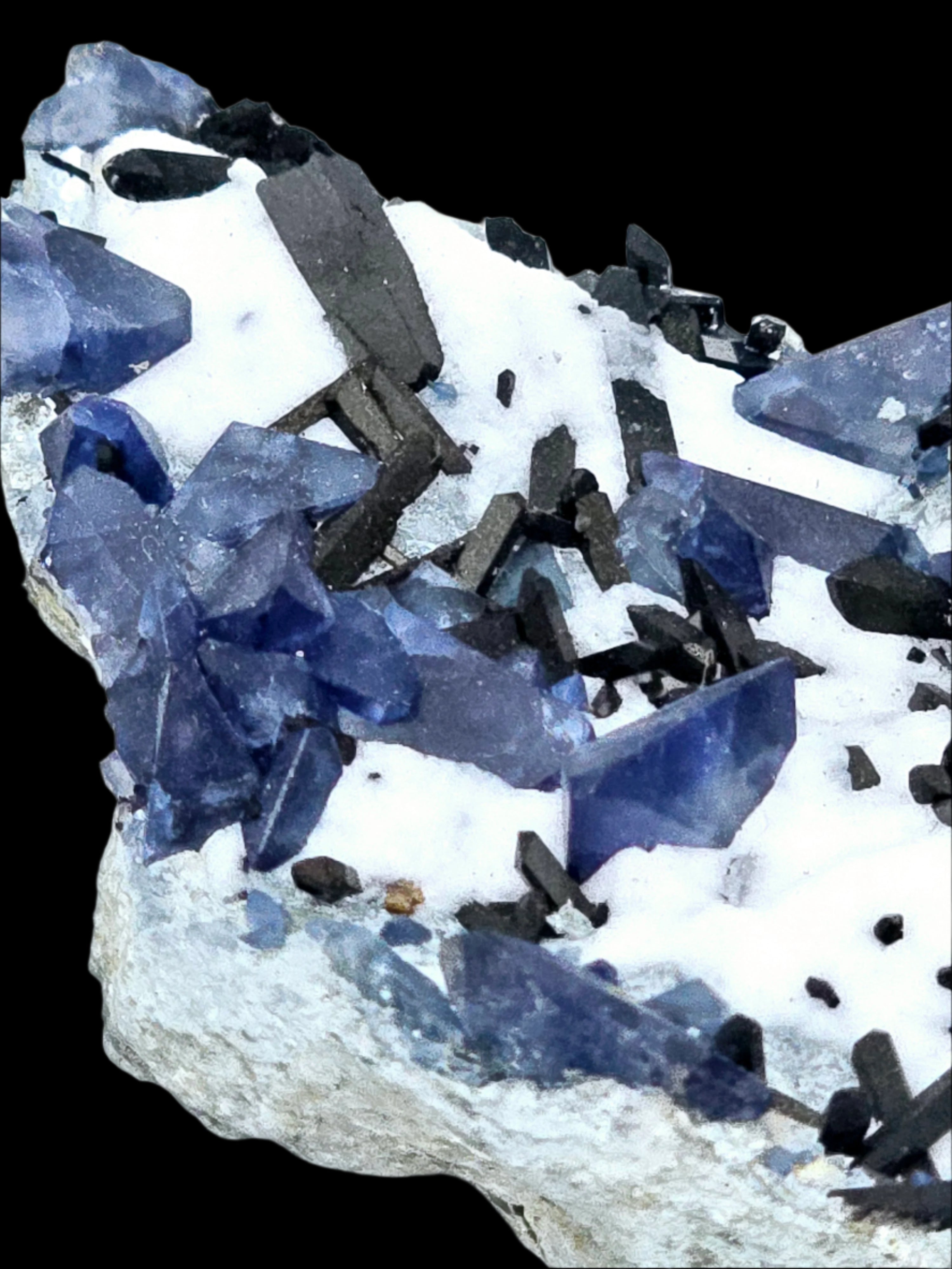 BENITOITE (BLUE), NEPTUNITE (BLACKISH RED), JOAQUINITE (BROWN) on NATROLITE (WHITE) (miniature)
