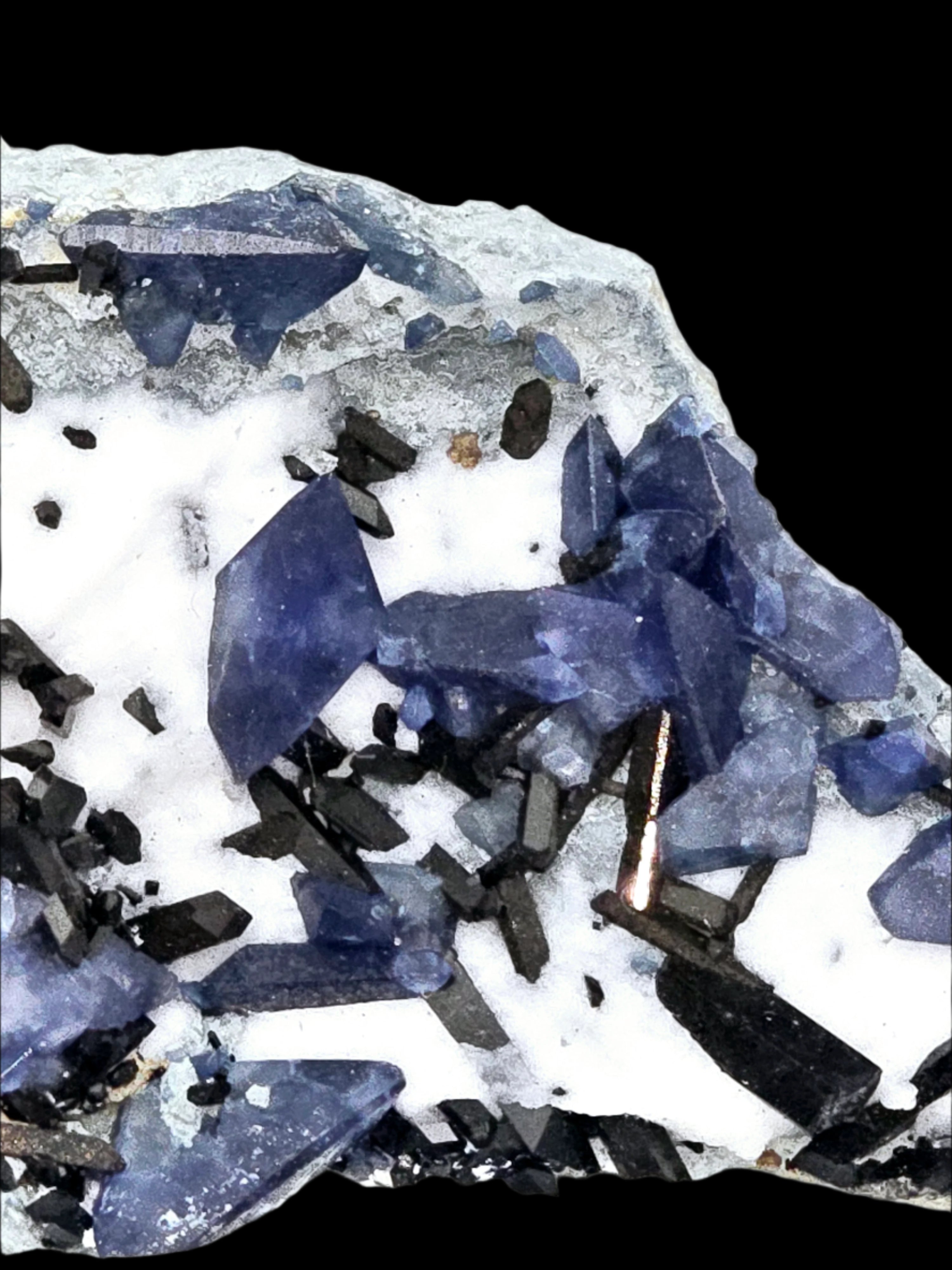 BENITOITE (BLUE), NEPTUNITE (BLACKISH RED), JOAQUINITE (BROWN) on NATROLITE (WHITE) (miniature)