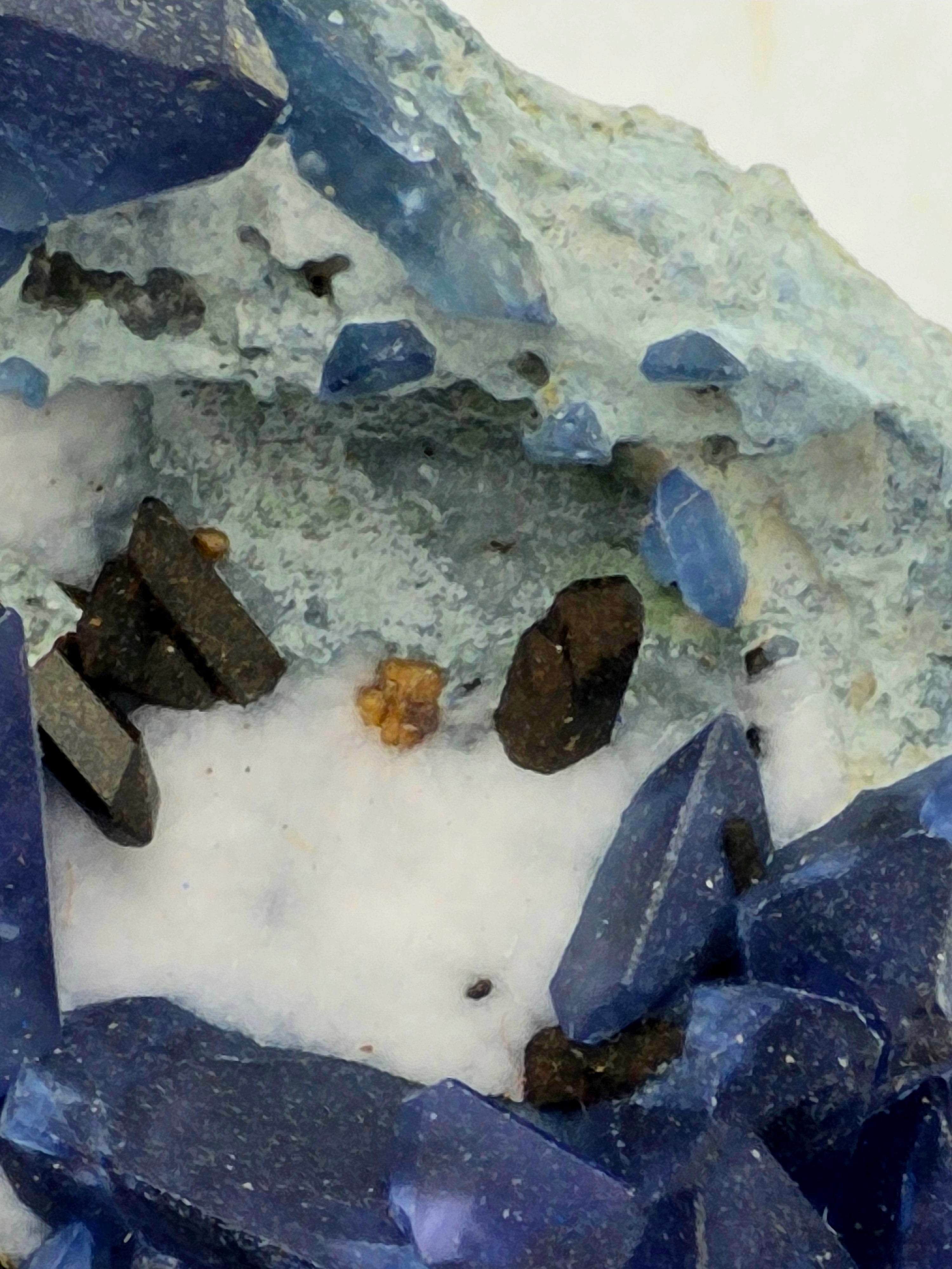 BENITOITE (BLUE), NEPTUNITE (BLACKISH RED), JOAQUINITE (BROWN) on NATROLITE (WHITE) (miniature)