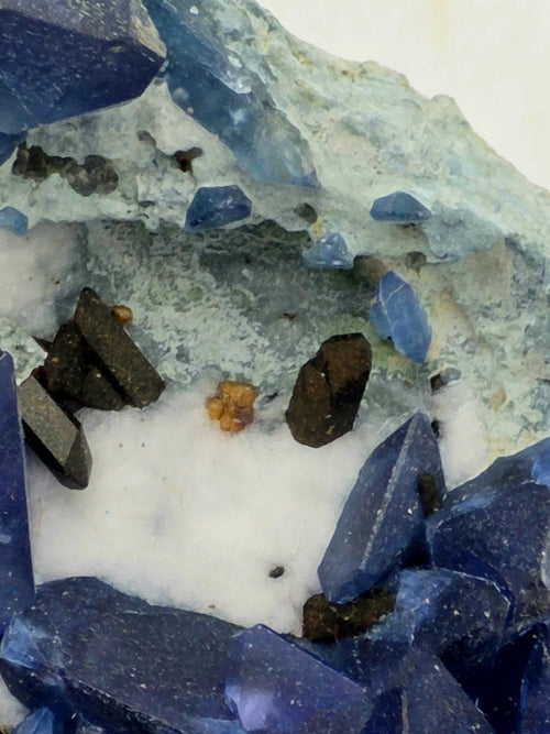 Blue crystals with brown and orange mineral inclusions on white matrix, geological specimen