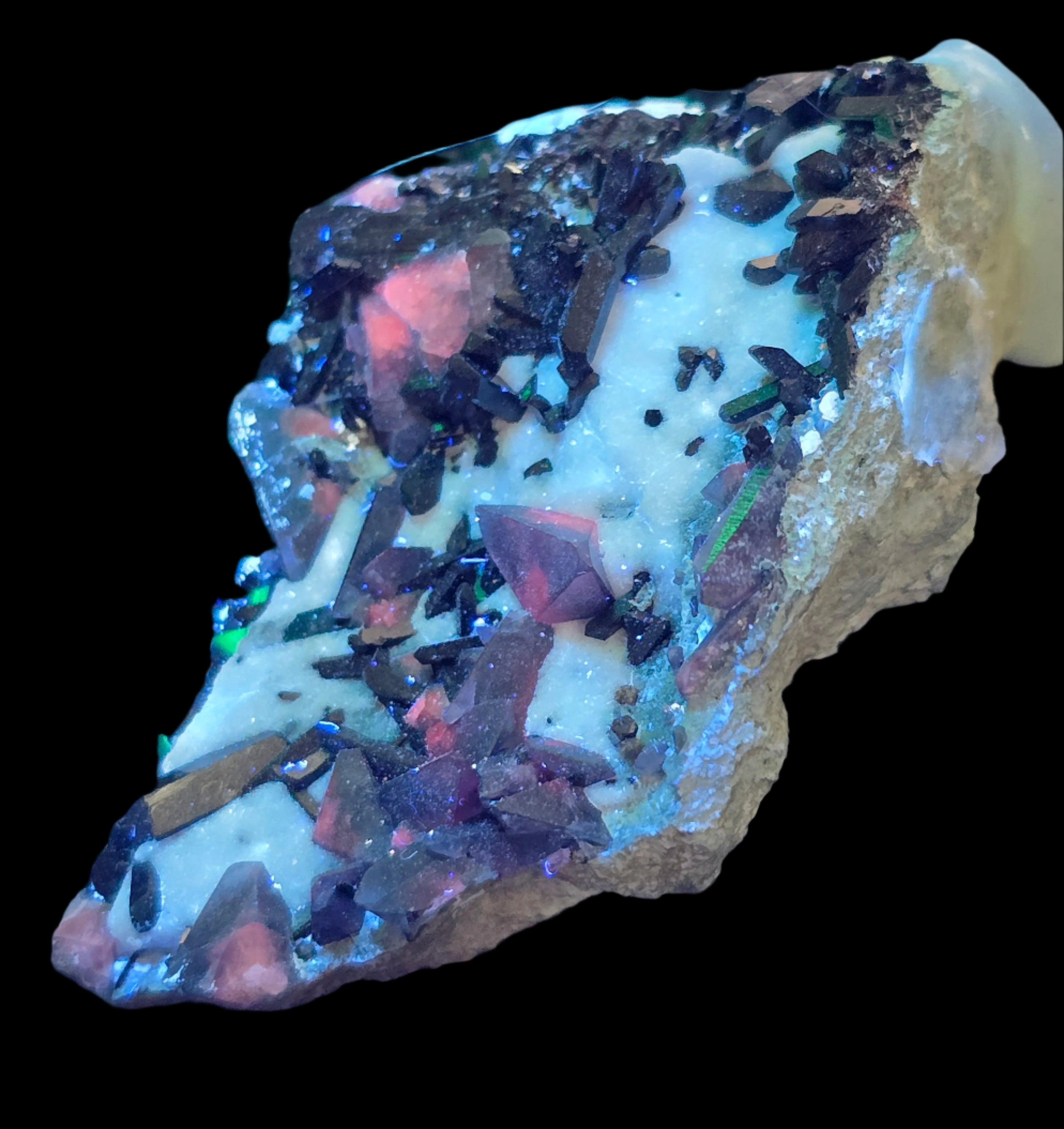 BENITOITE (BLUE), NEPTUNITE (BLACKISH RED), JOAQUINITE (BROWN) on NATROLITE (WHITE) (miniature)
