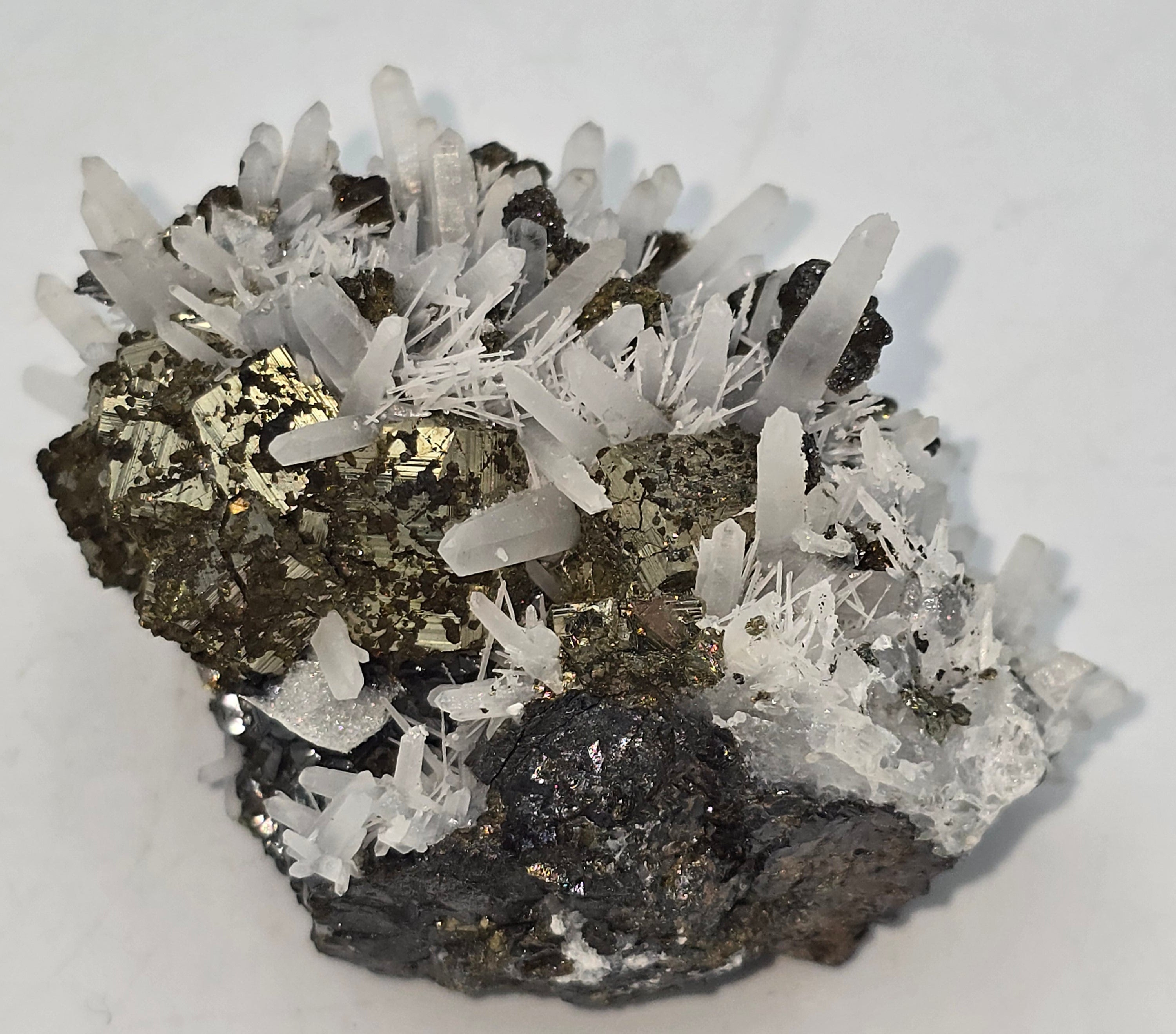 CHALCOPYRITE, PYRITE with NEEDLE QUARTZ  SMALL CABINET