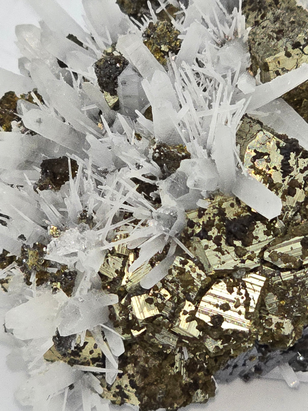 CHALCOPYRITE, PYRITE with NEEDLE QUARTZ  SMALL CABINET