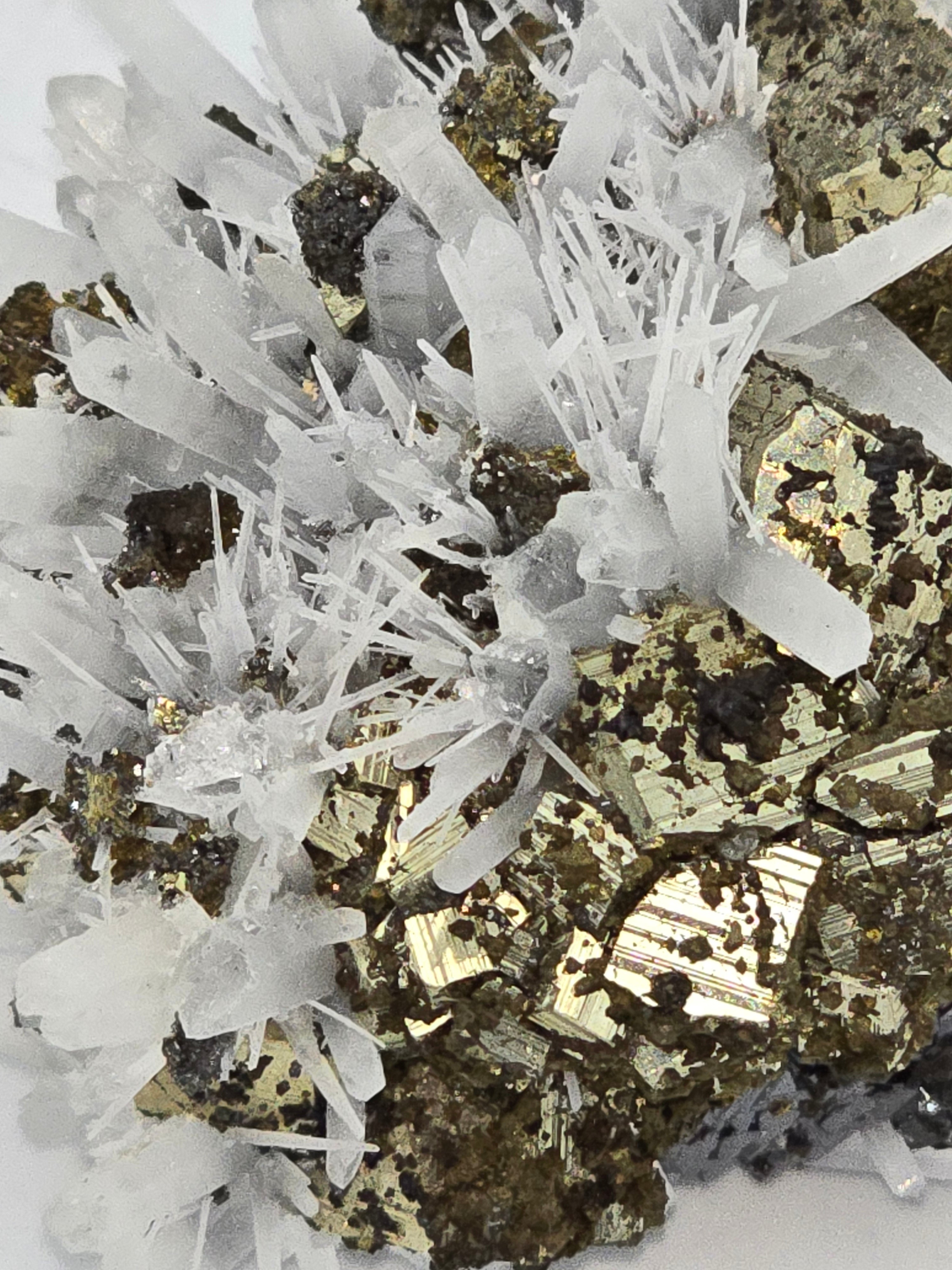 CHALCOPYRITE, PYRITE with NEEDLE QUARTZ  SMALL CABINET