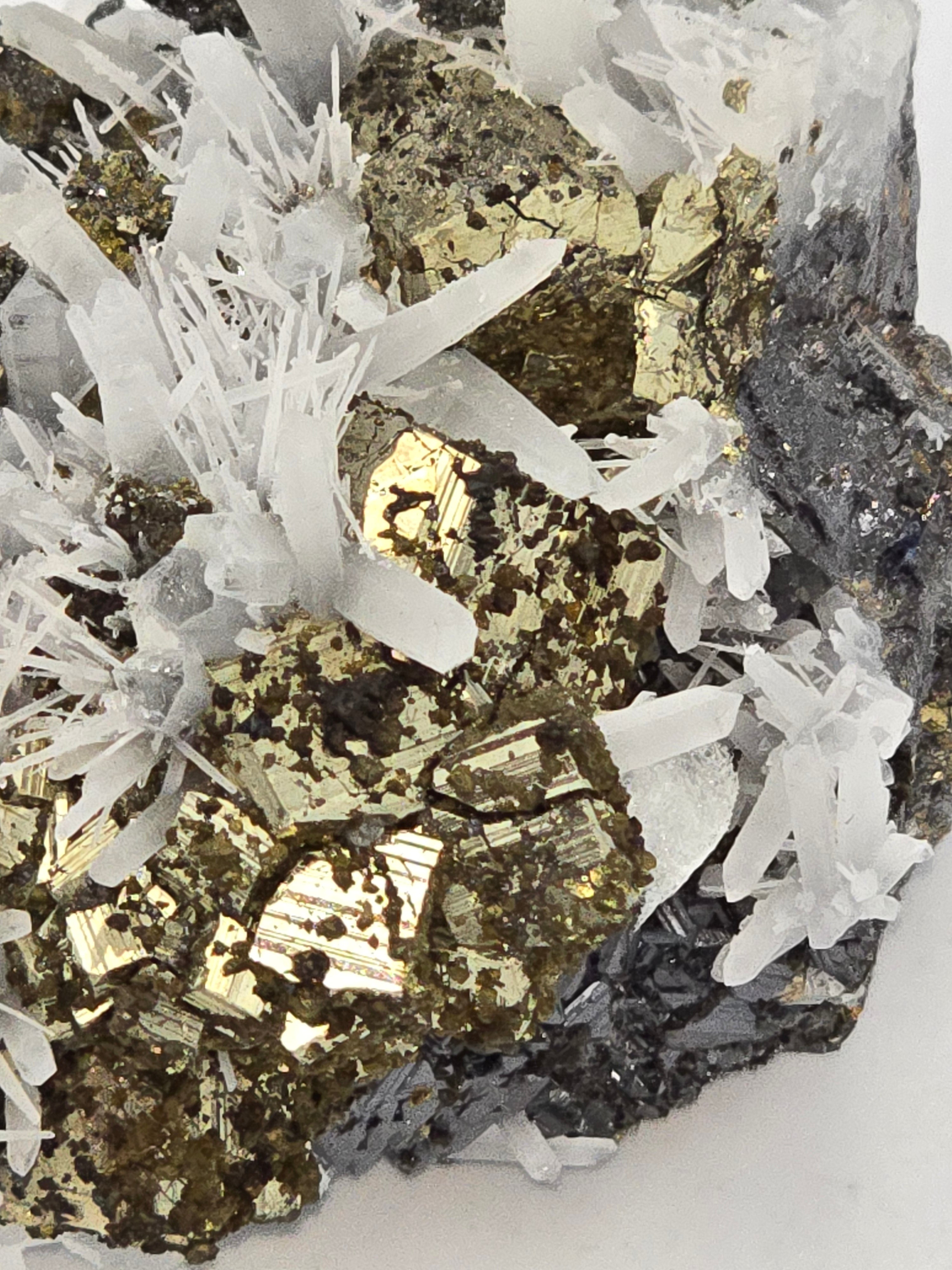 CHALCOPYRITE, PYRITE with NEEDLE QUARTZ  SMALL CABINET