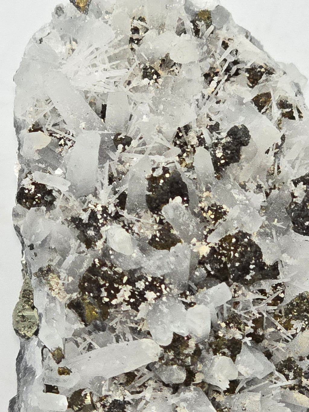 CHALCOPYRITE, PYRITE with NEEDLE QUARTZ  SMALL CABINET