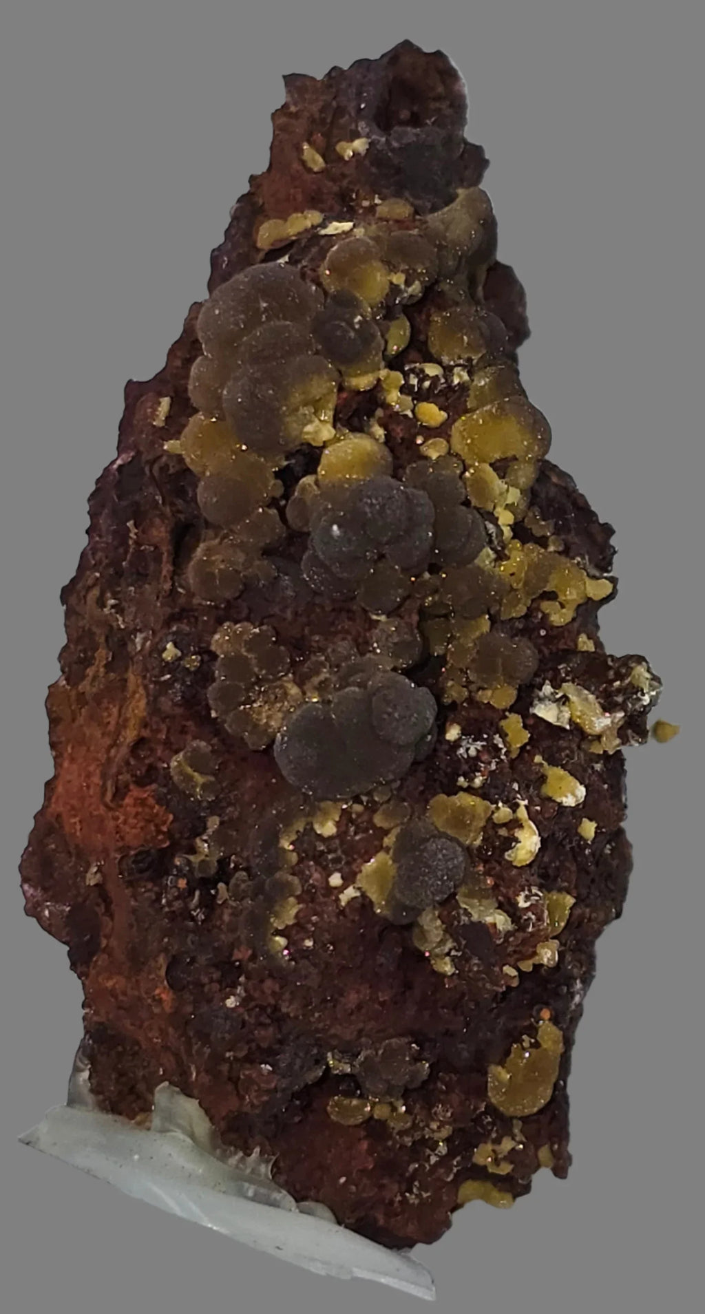 Wulfenite on matrix from Arizona, featuring yellow-orange crystals on dark host rock, mineral specimen for collectors