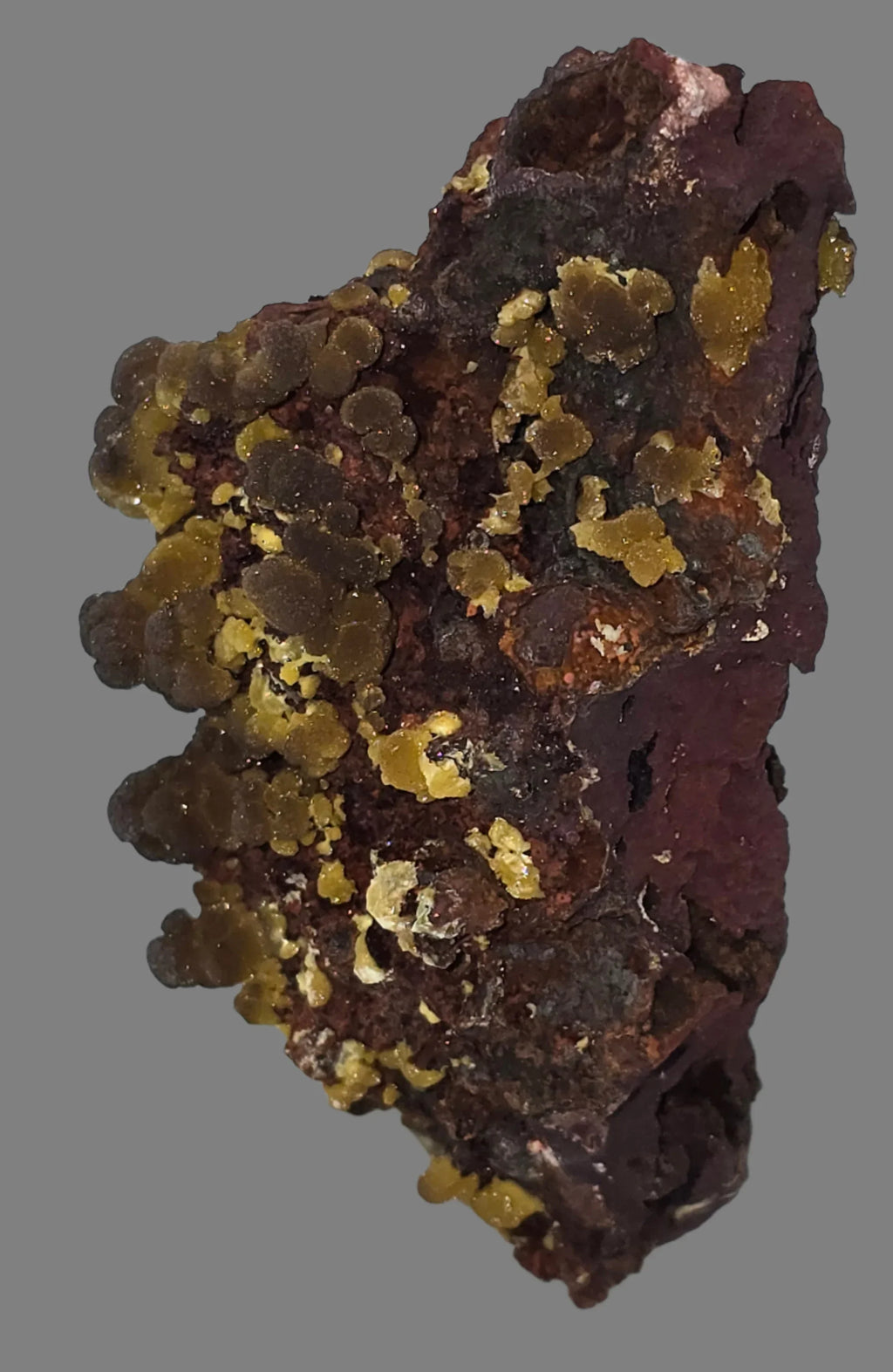 Wulfenite mineral specimen with vibrant yellow crystals on dark matrix, classic locality find