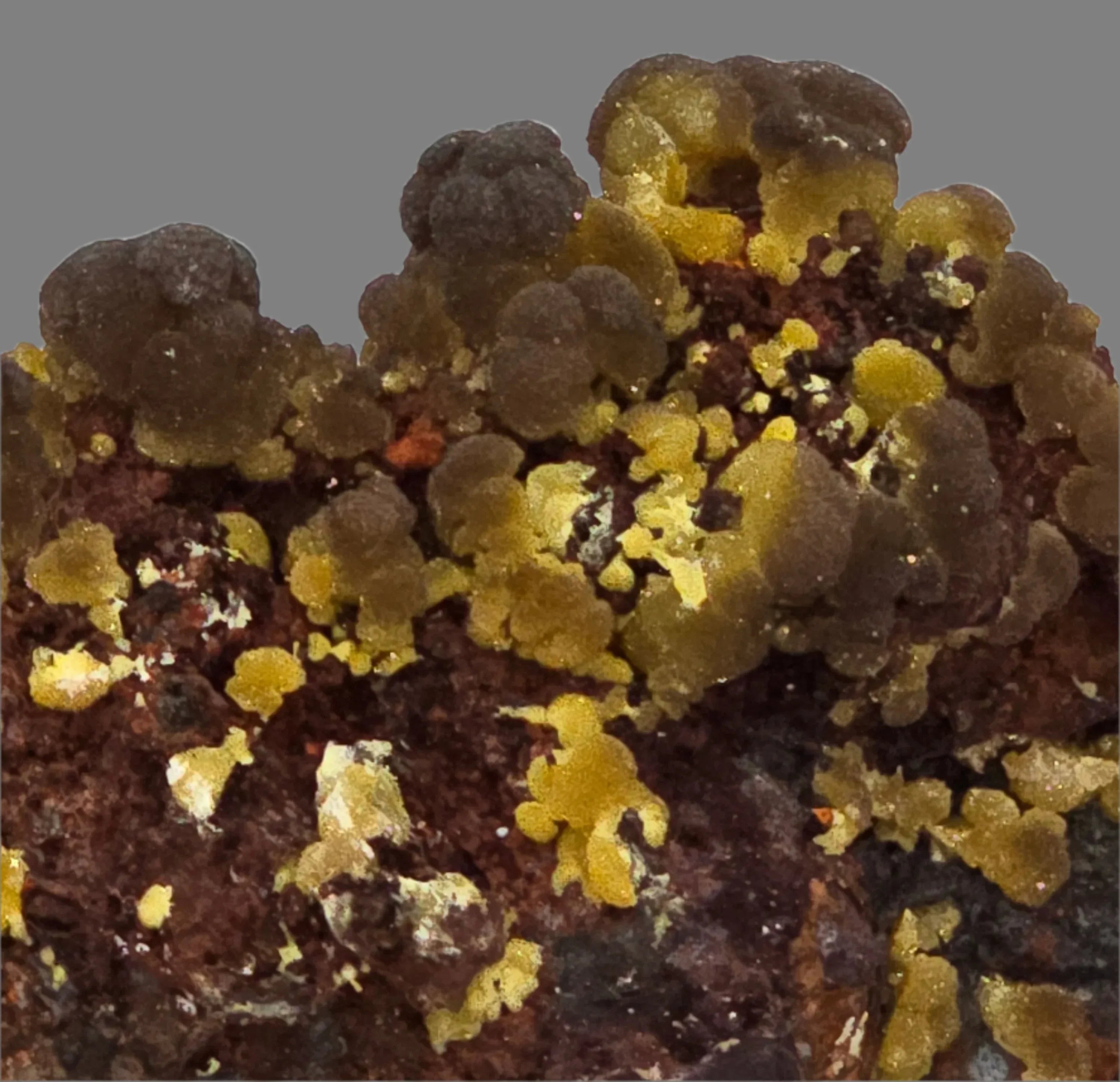 Wulfenite mineral specimen with vibrant yellow crystals on dark matrix, classic locality find