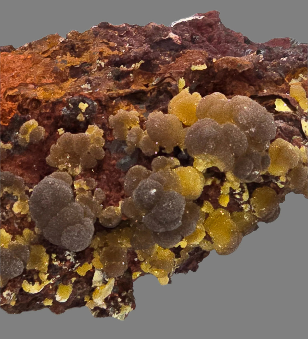 Wulfenite mineral specimen with vibrant orange-yellow crystals on red matrix, classic locality find
