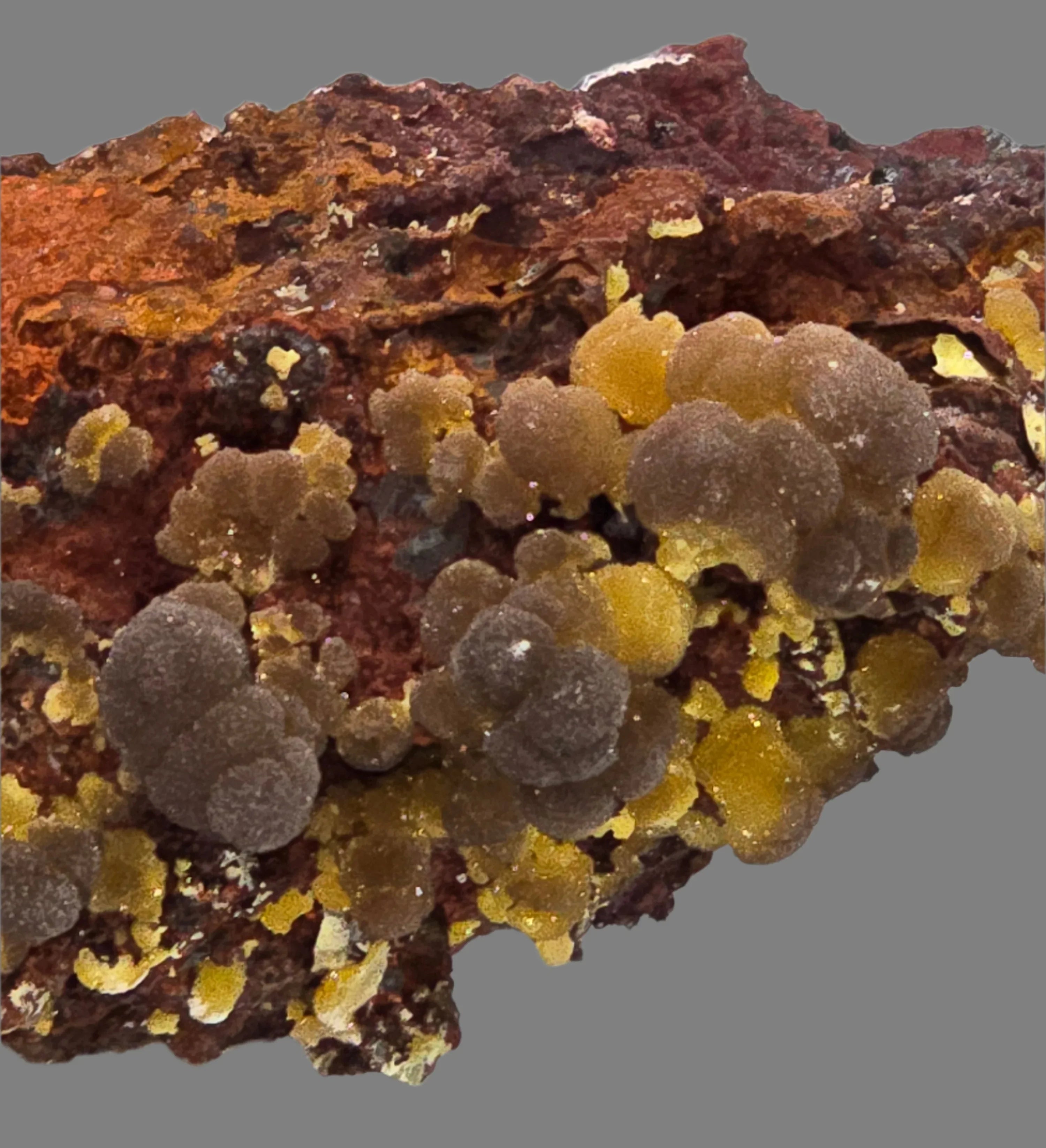 Wulfenite mineral specimen with vibrant orange-yellow crystals on red matrix, classic locality find
