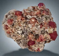 Ruby in marble specimen from Myanmar, vibrant red crystals on white matrix
