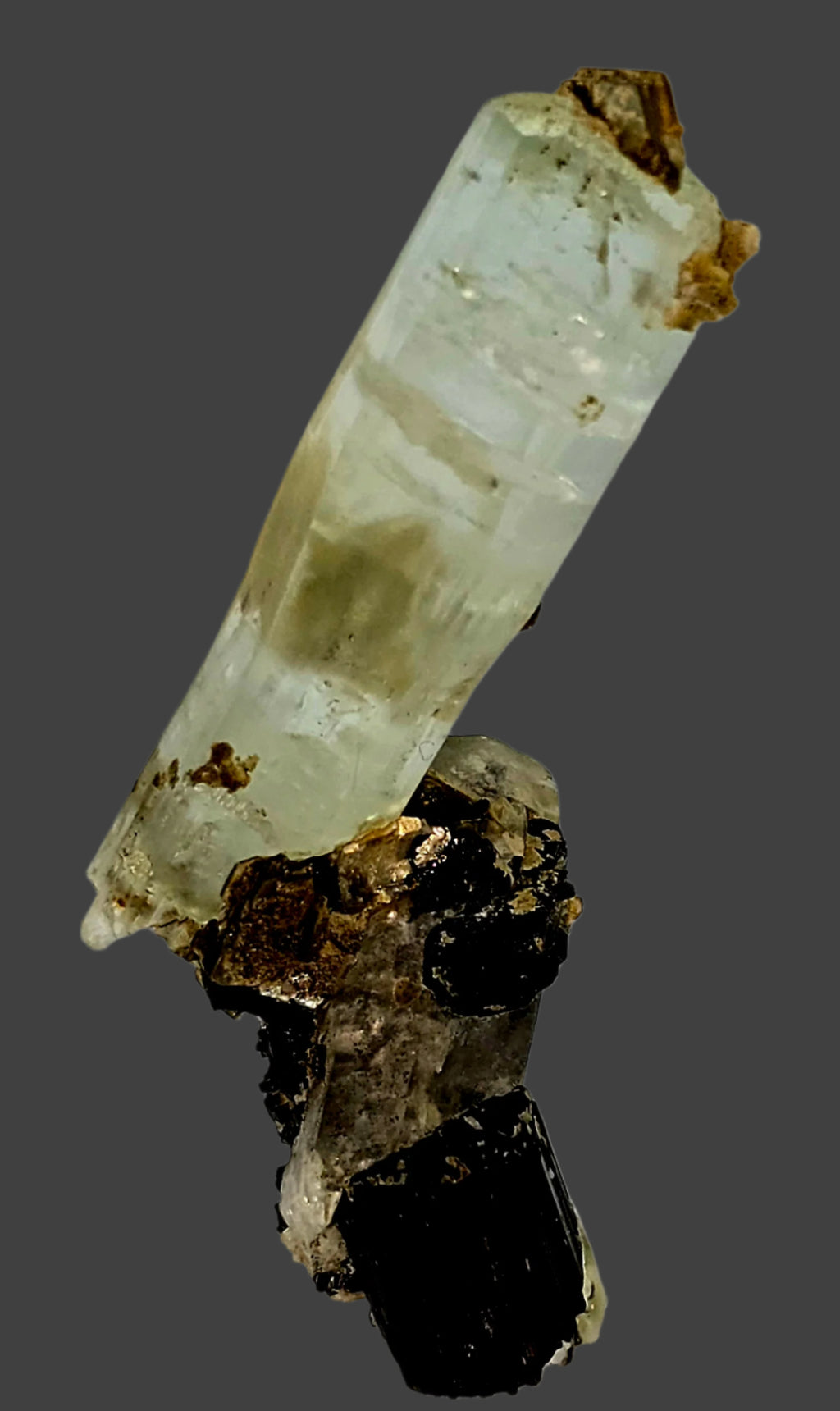 AQUAMARINE (BERYL) ON SCHORL (BLACK TOURMALINE) and MUSCOVITE (small cabinet)
