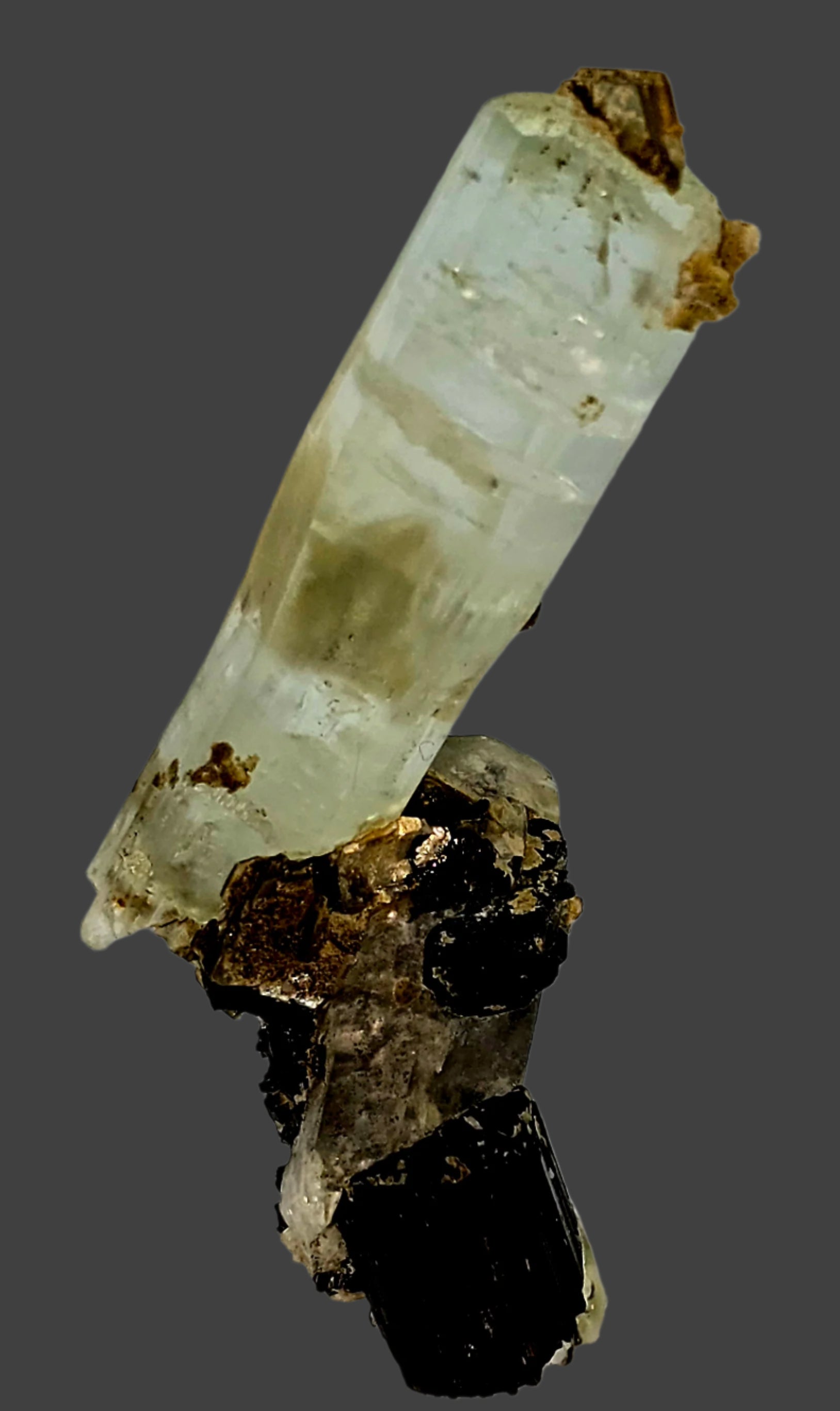 AQUAMARINE (BERYL) ON SCHORL (BLACK TOURMALINE) and MUSCOVITE (small cabinet)