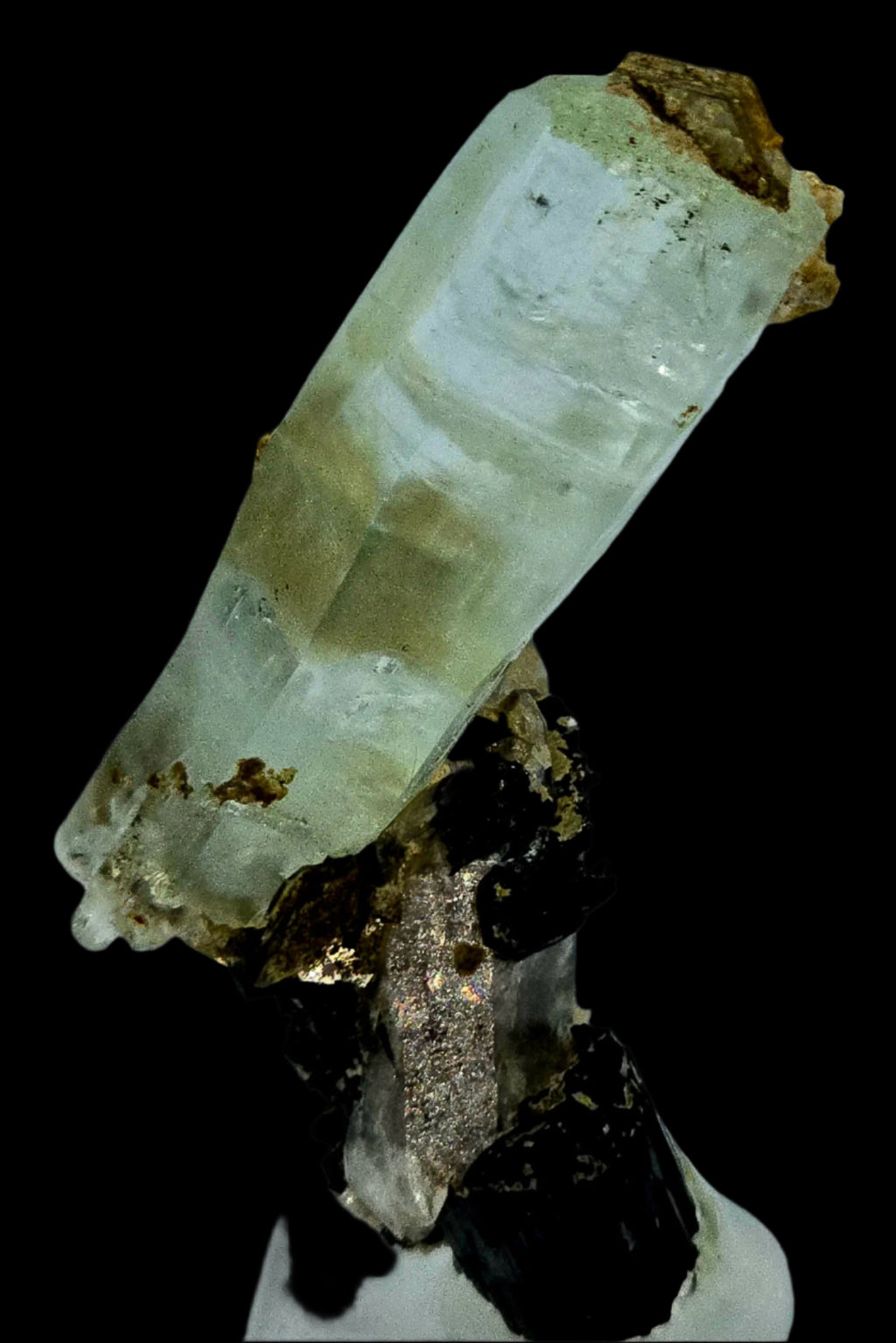 AQUAMARINE (BERYL) ON SCHORL (BLACK TOURMALINE) and MUSCOVITE (small cabinet)