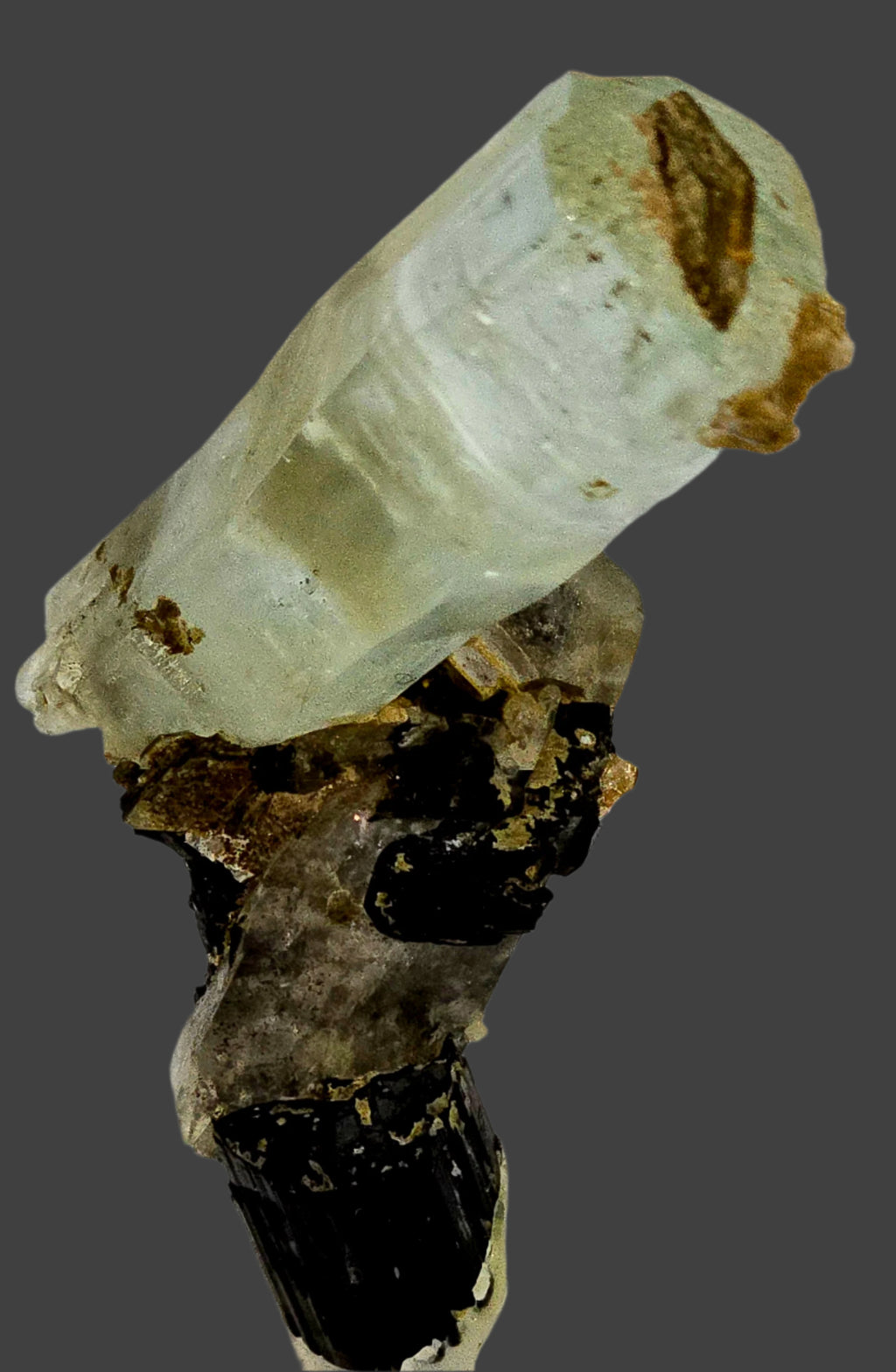 AQUAMARINE (BERYL) ON SCHORL (BLACK TOURMALINE) and MUSCOVITE (small cabinet)