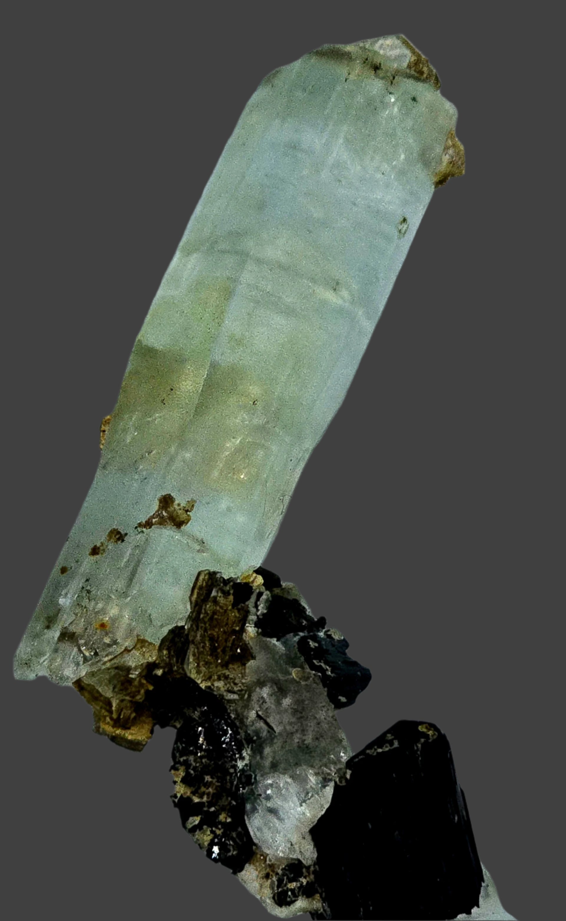 AQUAMARINE (BERYL) ON SCHORL (BLACK TOURMALINE) and MUSCOVITE (small cabinet)