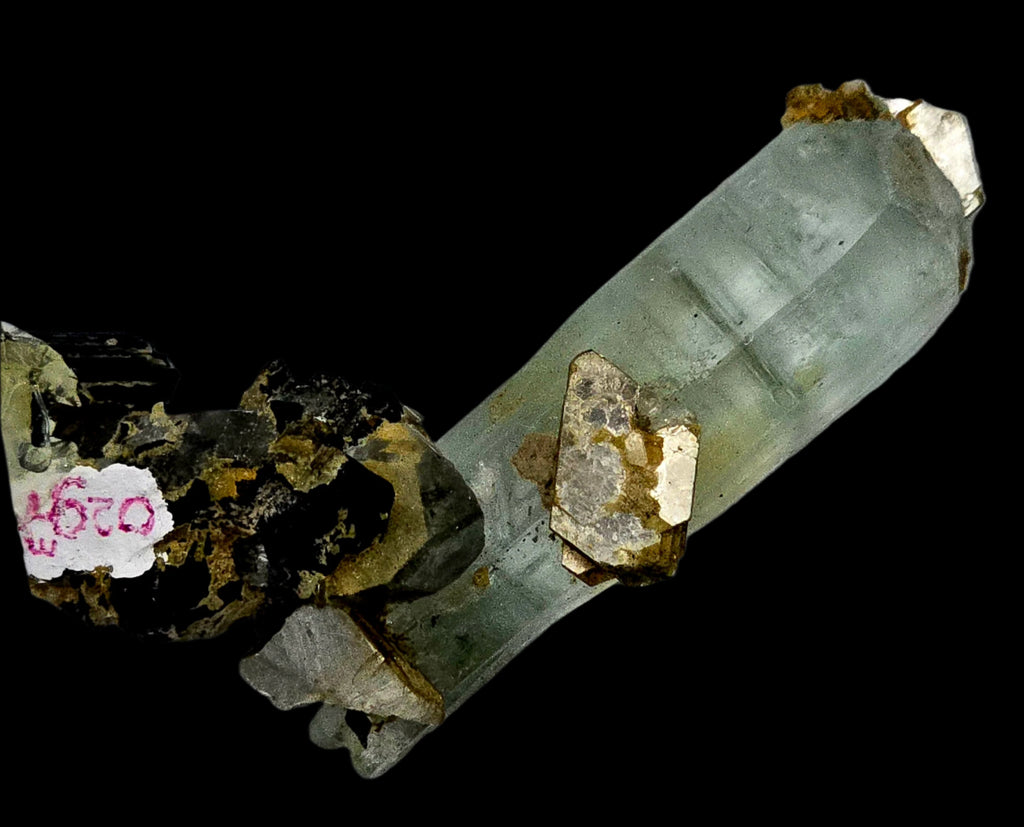AQUAMARINE (BERYL) ON SCHORL (BLACK TOURMALINE) and MUSCOVITE (small cabinet)