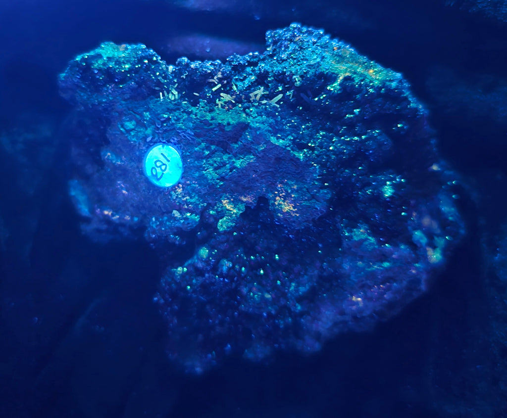 WILLEMITE - FRANKLINITE (cabinet)