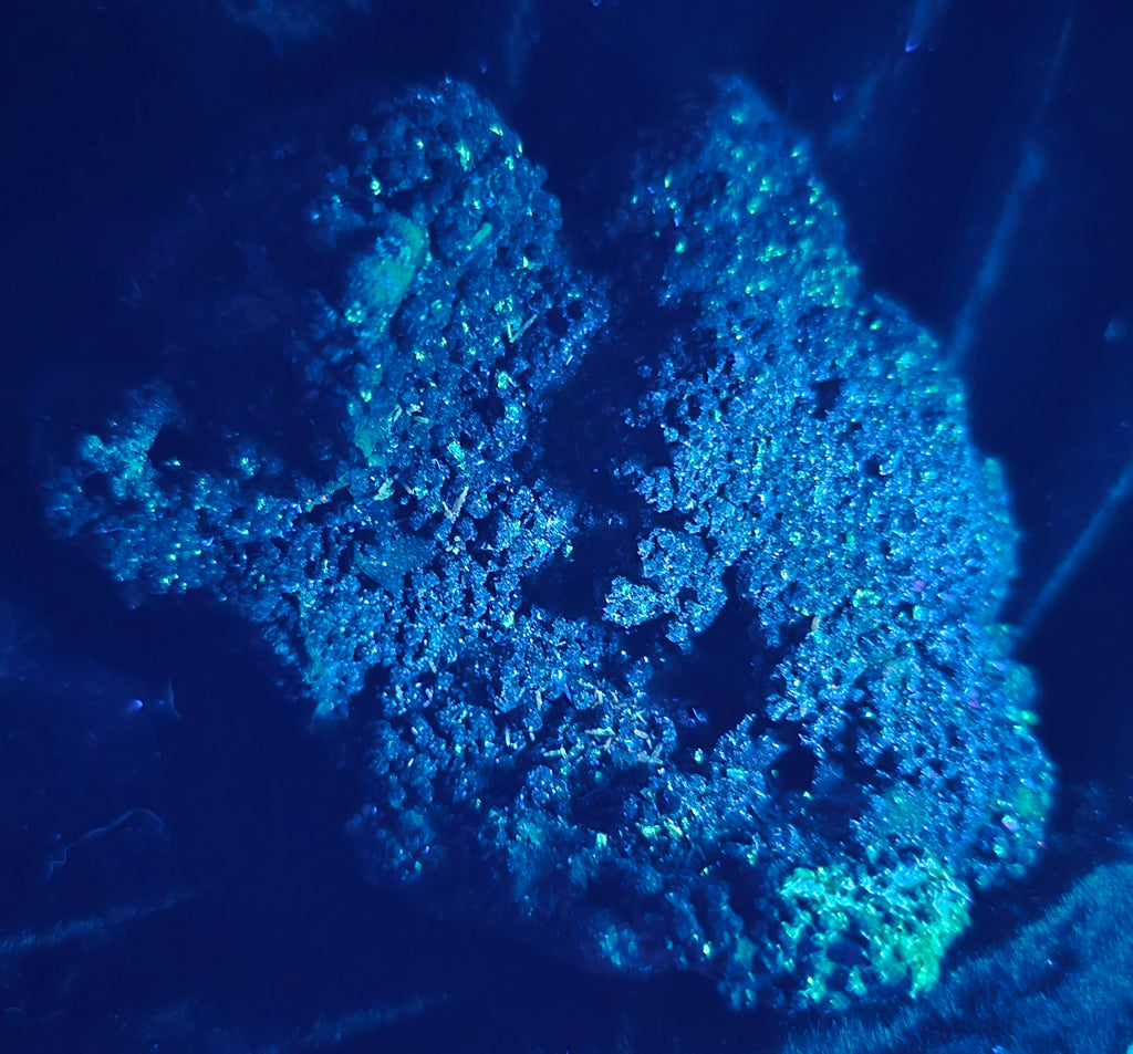 WILLEMITE - FRANKLINITE (cabinet)