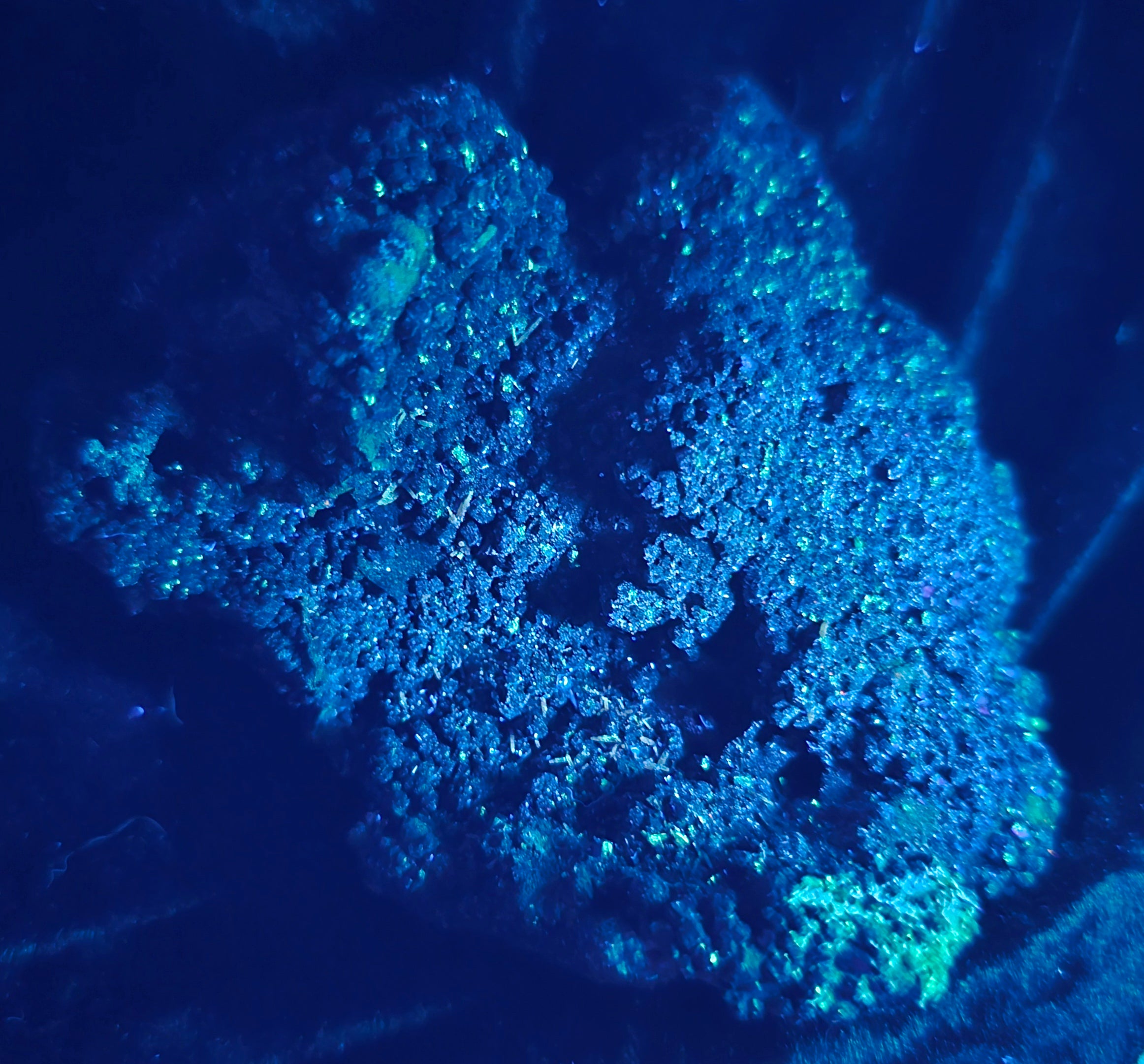 WILLEMITE - FRANKLINITE (cabinet)