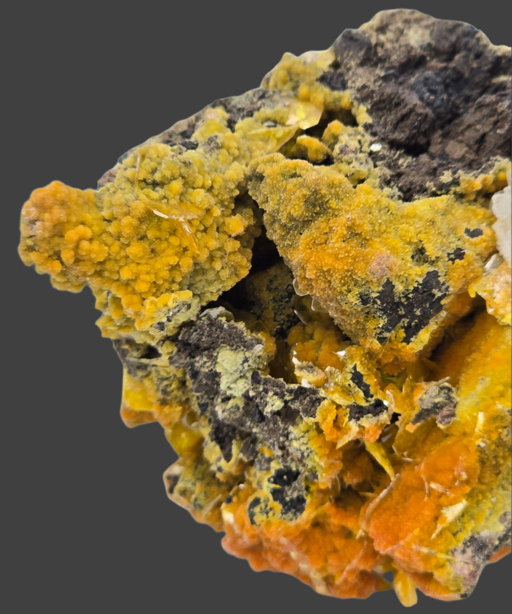 WULFENITE and MIMETITE (small cabinet)