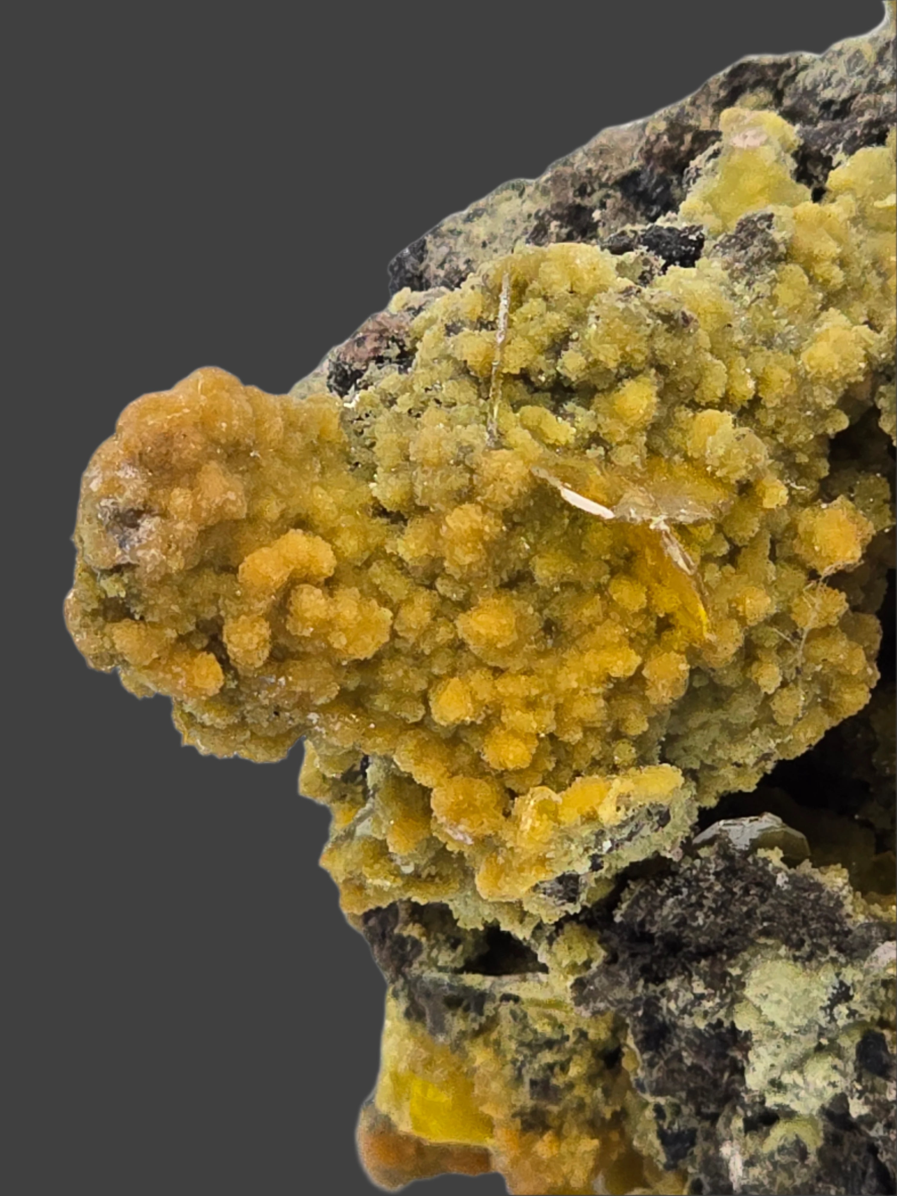 WULFENITE and MIMETITE (small cabinet)