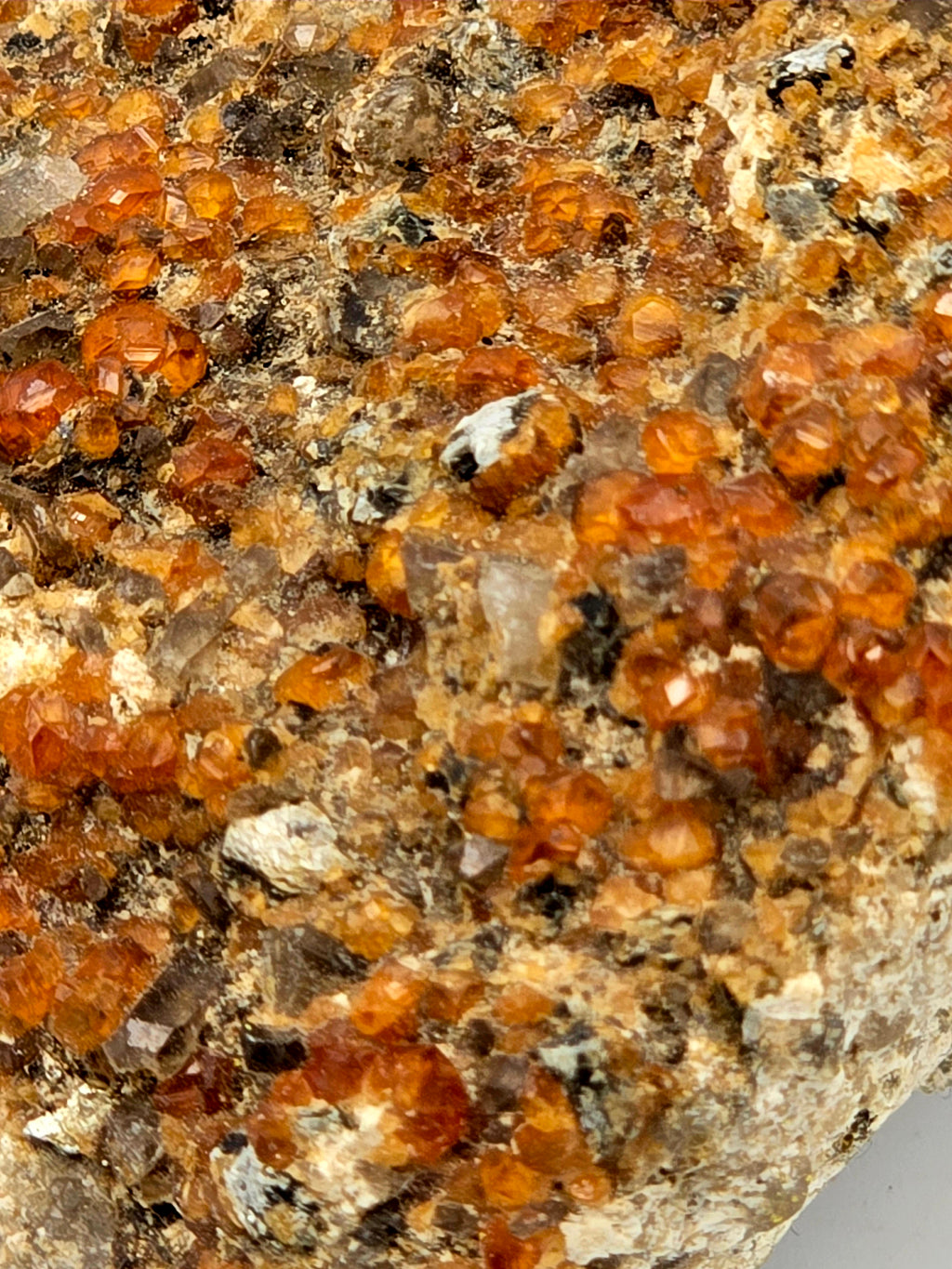 GROSSULAR GARNETS, QUARTZ, HEMATITE (miniature)