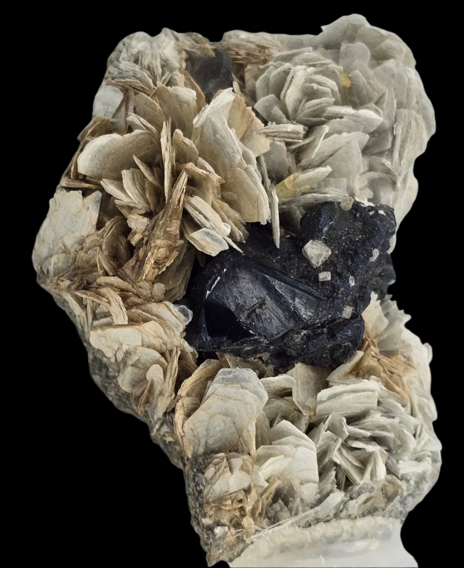 CASSITERITE with TOPAZ on MUSCOVITE  (cabinet)