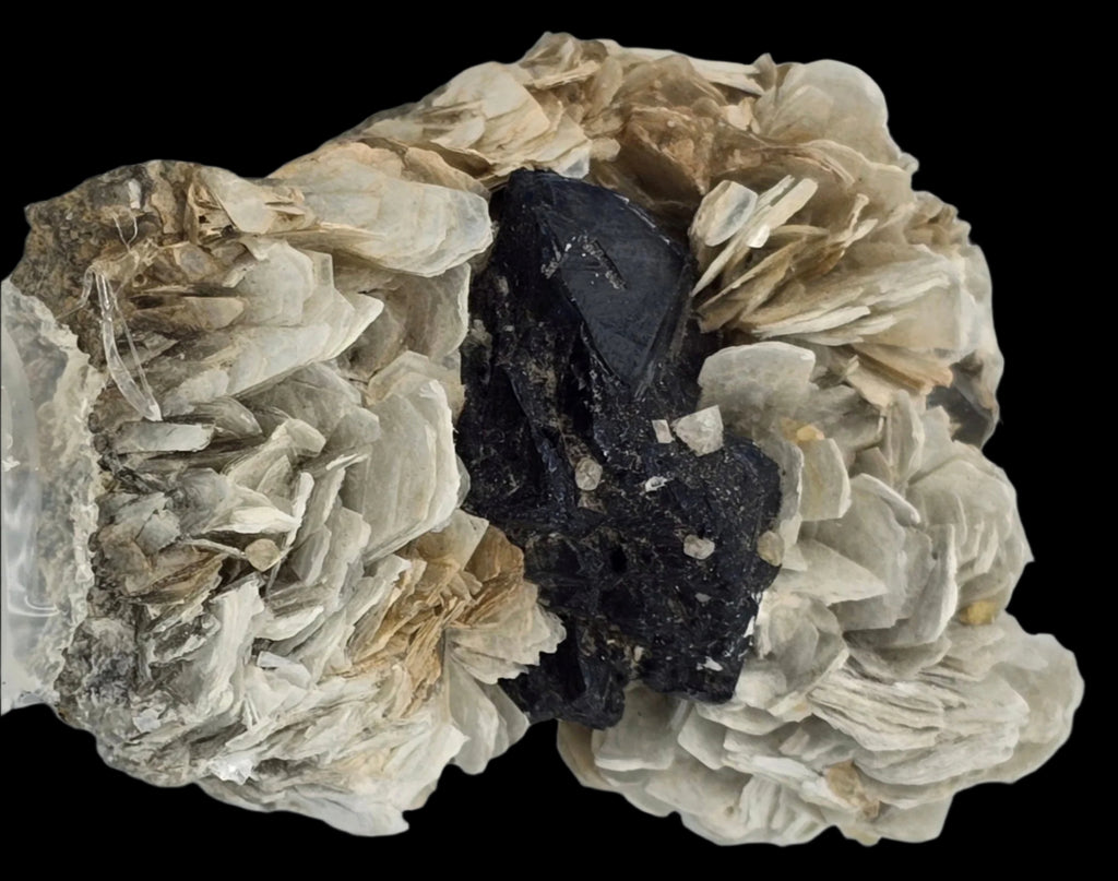 CASSITERITE with TOPAZ on MUSCOVITE  (cabinet)