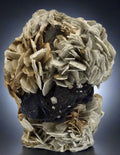 CASSITERITE with TOPAZ on MUSCOVITE, PING WU SI CHUAN, SICHUAN PROVINCE, PRC  (cabinet)