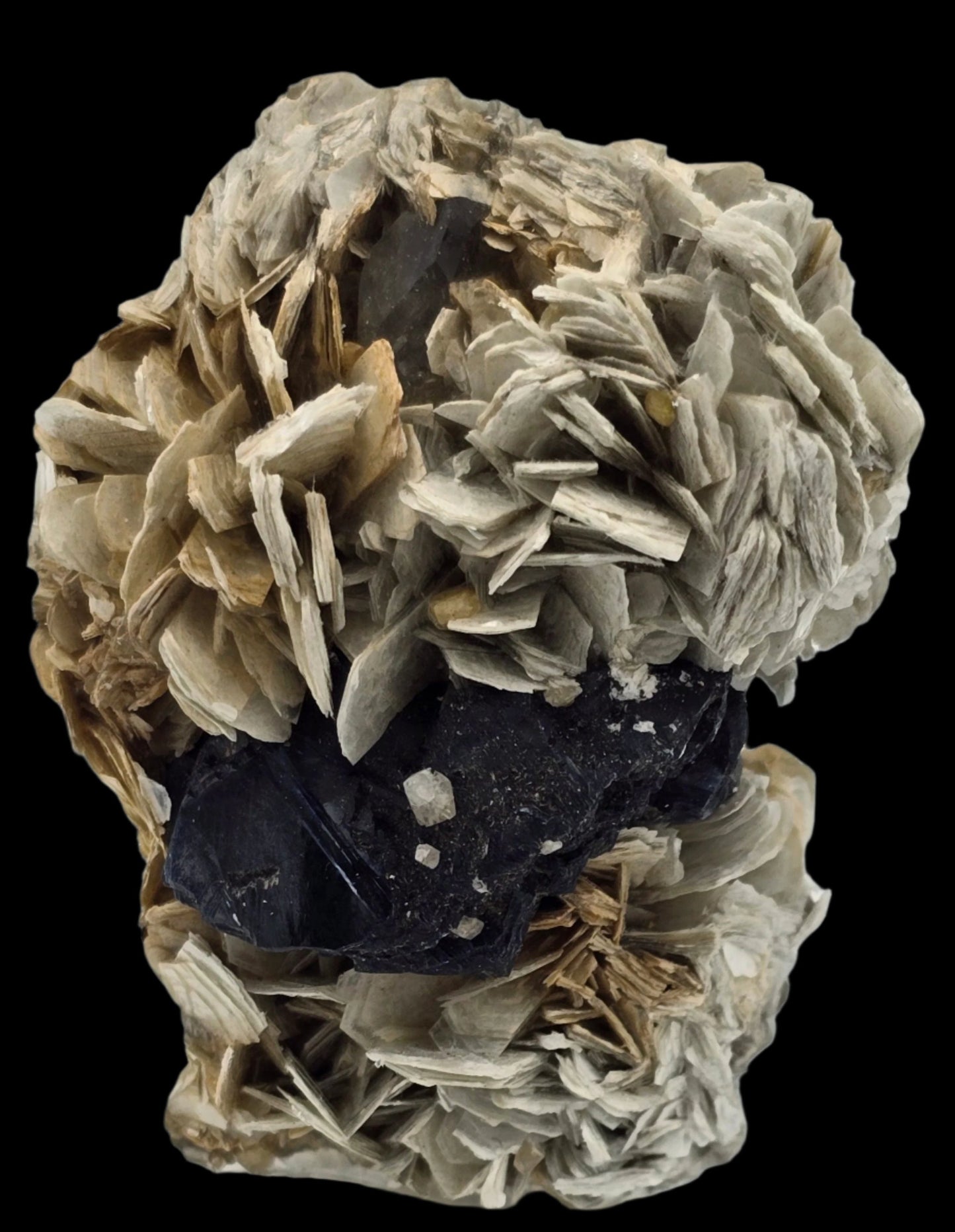 CASSITERITE with TOPAZ on MUSCOVITE