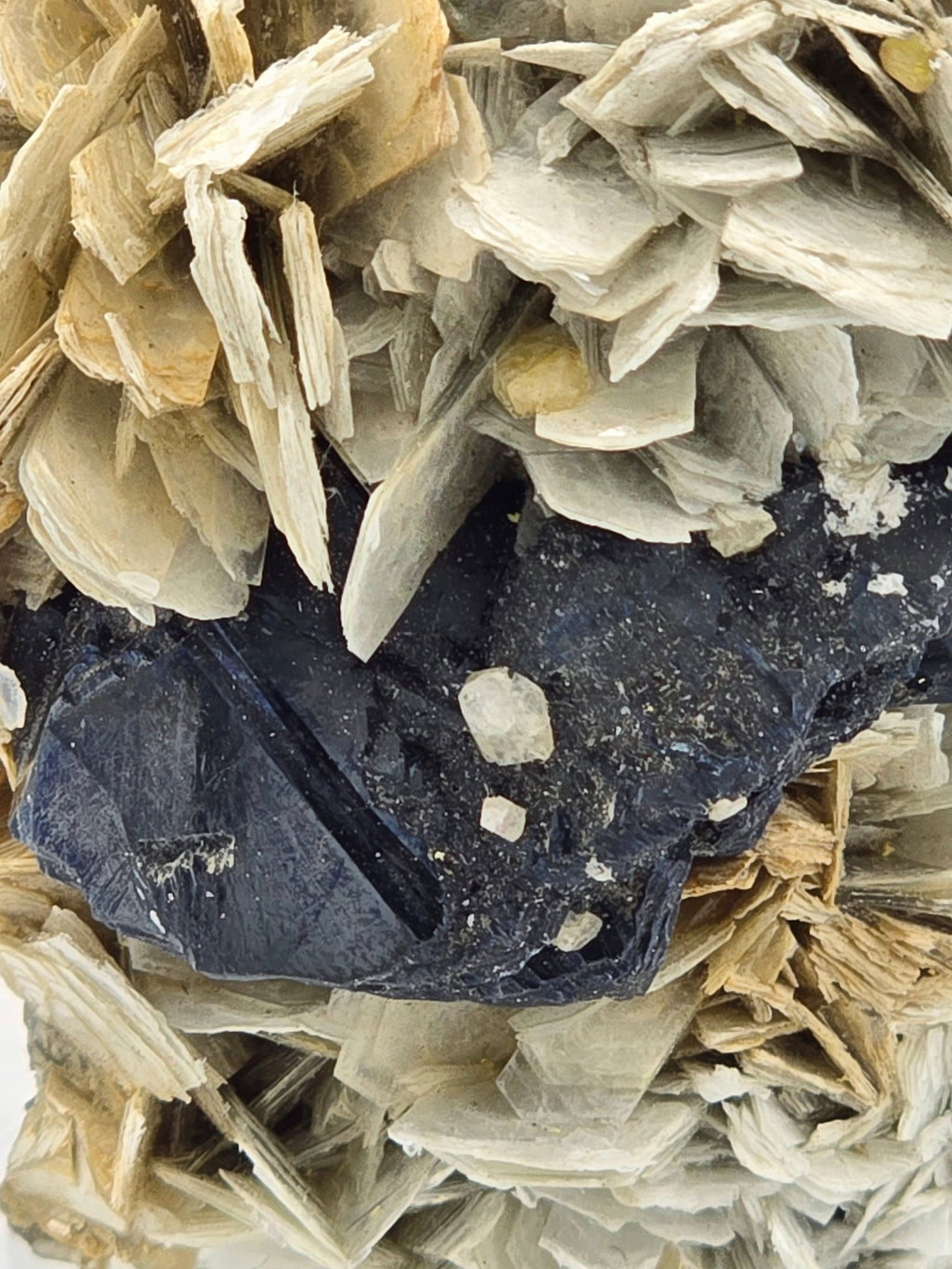 CASSITERITE with TOPAZ on MUSCOVITE  (cabinet)