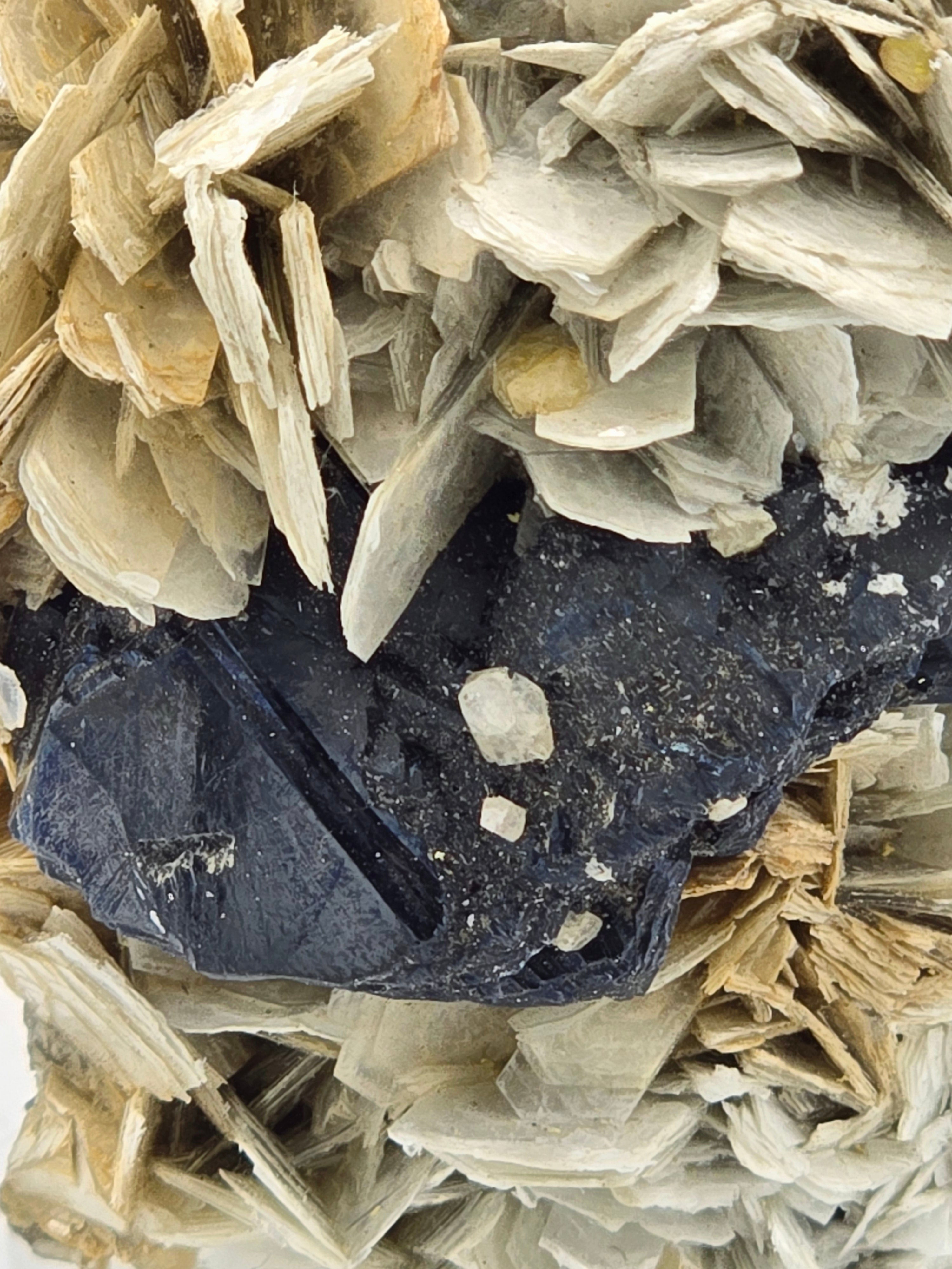 CASSITERITE with TOPAZ on MUSCOVITE  (cabinet)