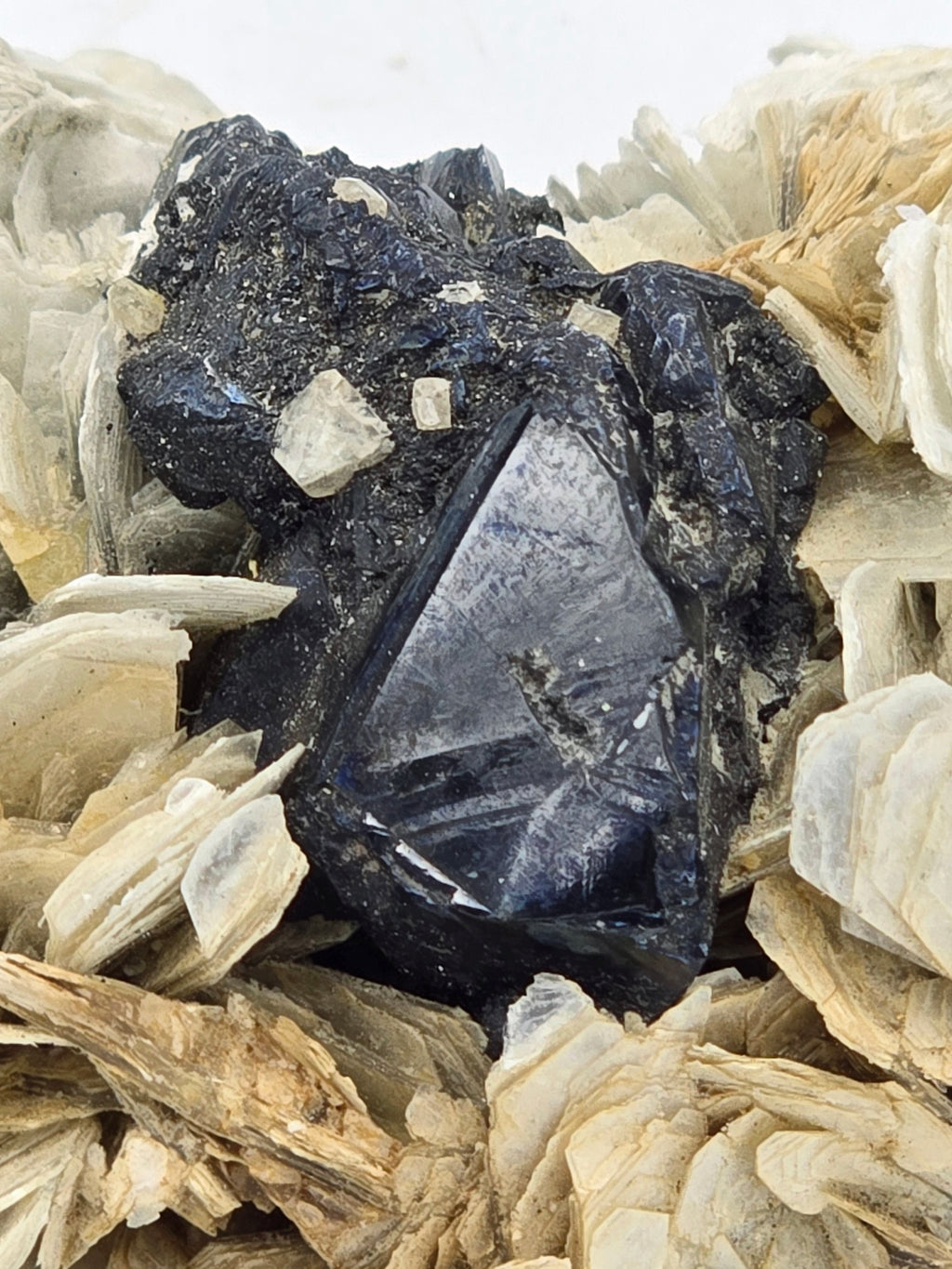 CASSITERITE with TOPAZ on MUSCOVITE  (cabinet)