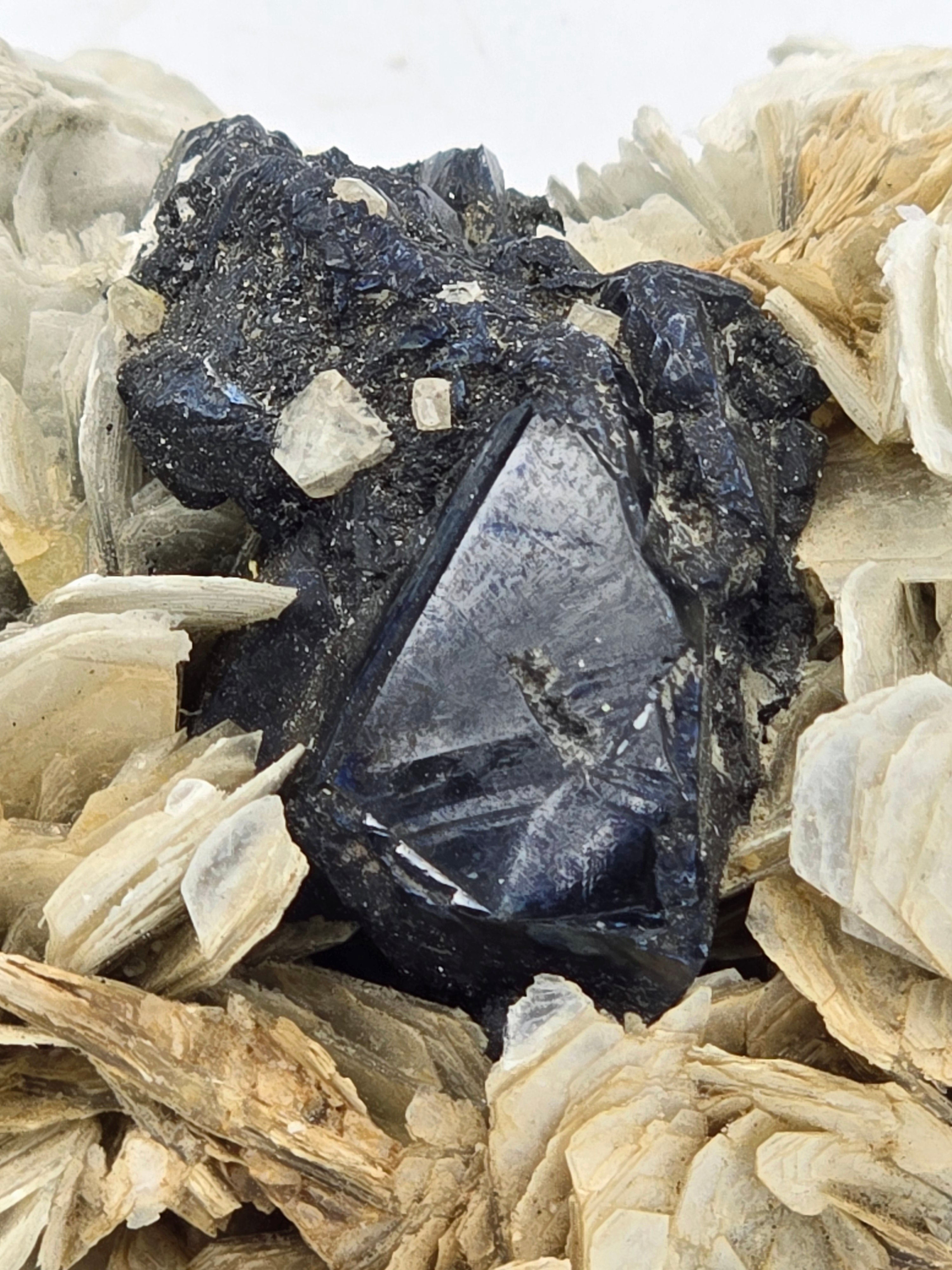 CASSITERITE with TOPAZ on MUSCOVITE  (cabinet)