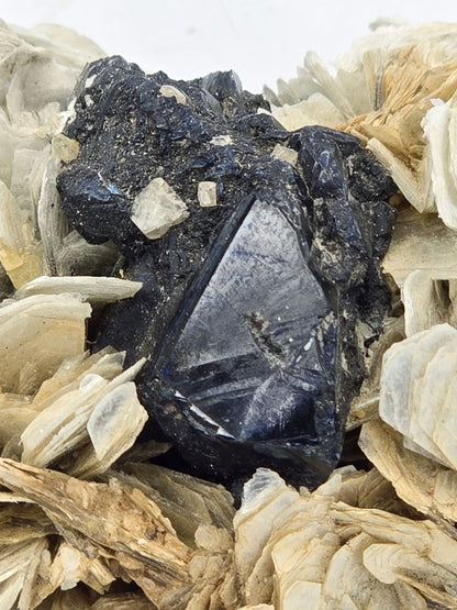 CASSITERITE with TOPAZ on MUSCOVITE