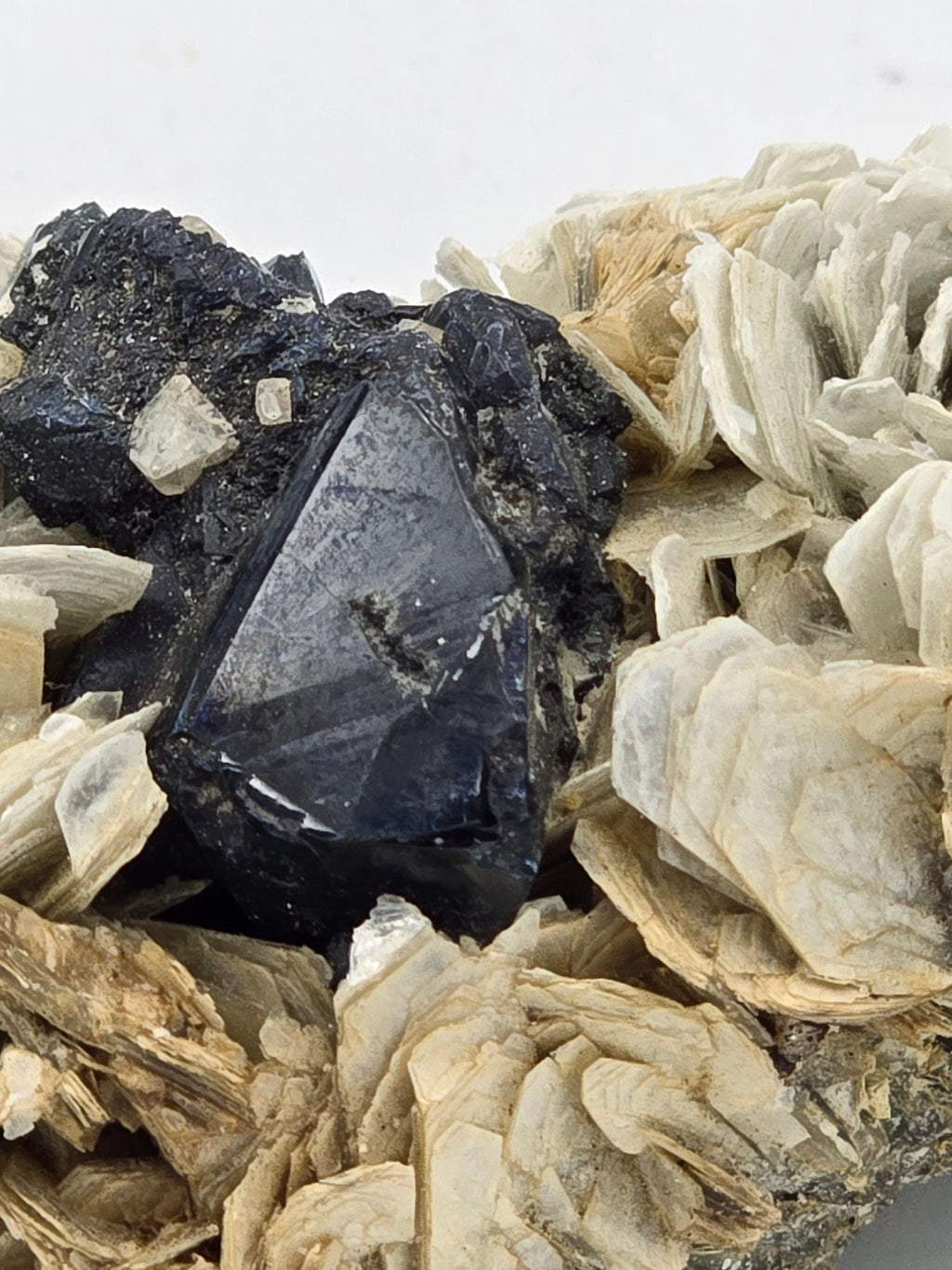 CASSITERITE with TOPAZ on MUSCOVITE  (cabinet)