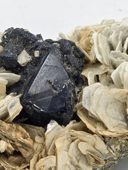 CASSITERITE with TOPAZ on MUSCOVITE