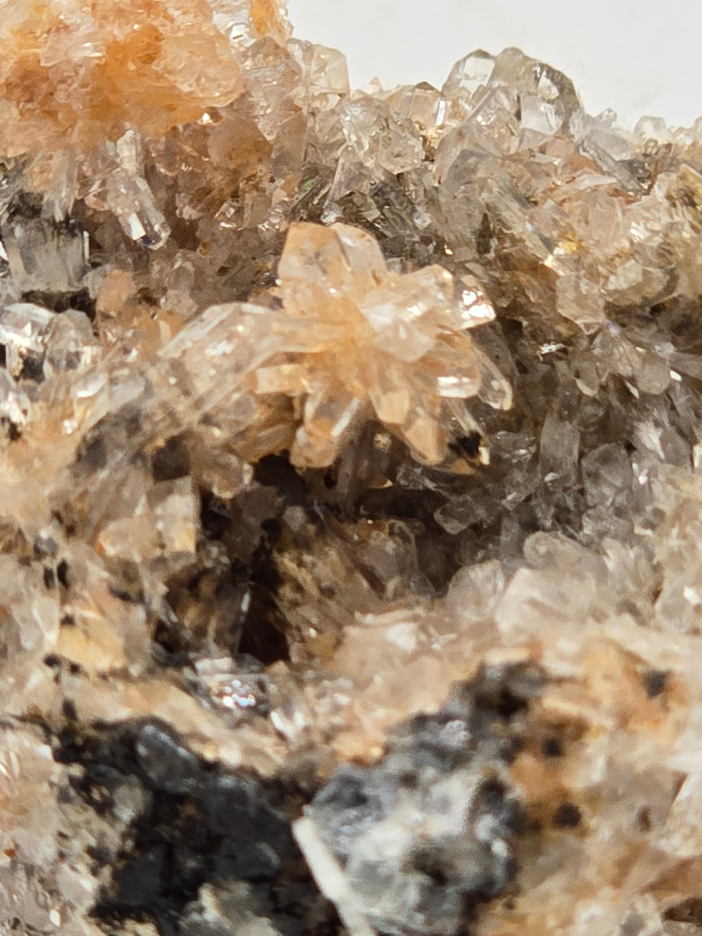 CREEDITE with BLUE FLUORITE  (small cabinet)