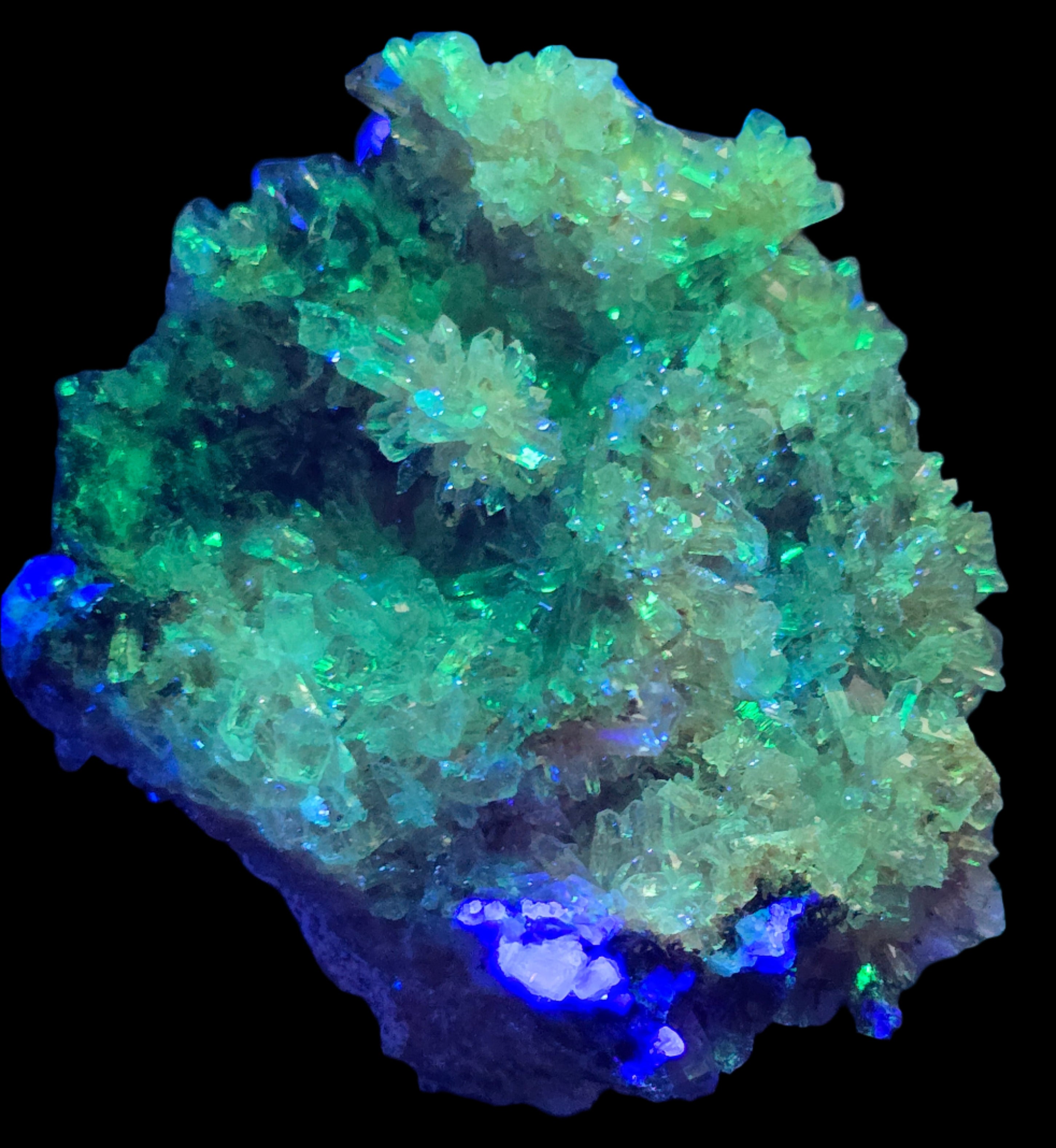 CREEDITE with BLUE FLUORITE  (small cabinet)