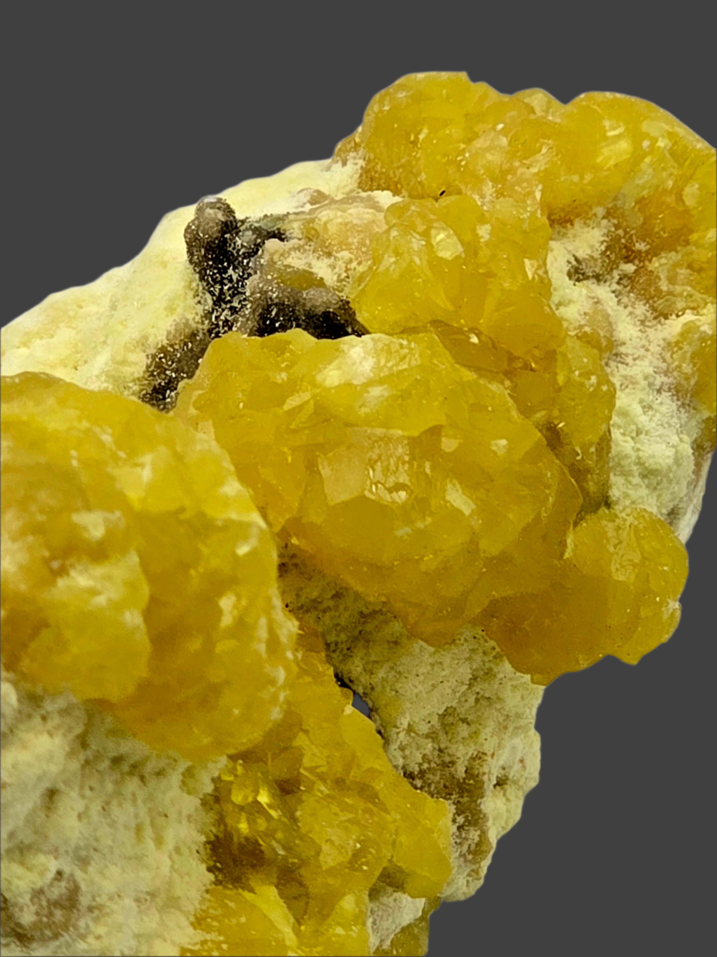 SULFUR (cabinet)